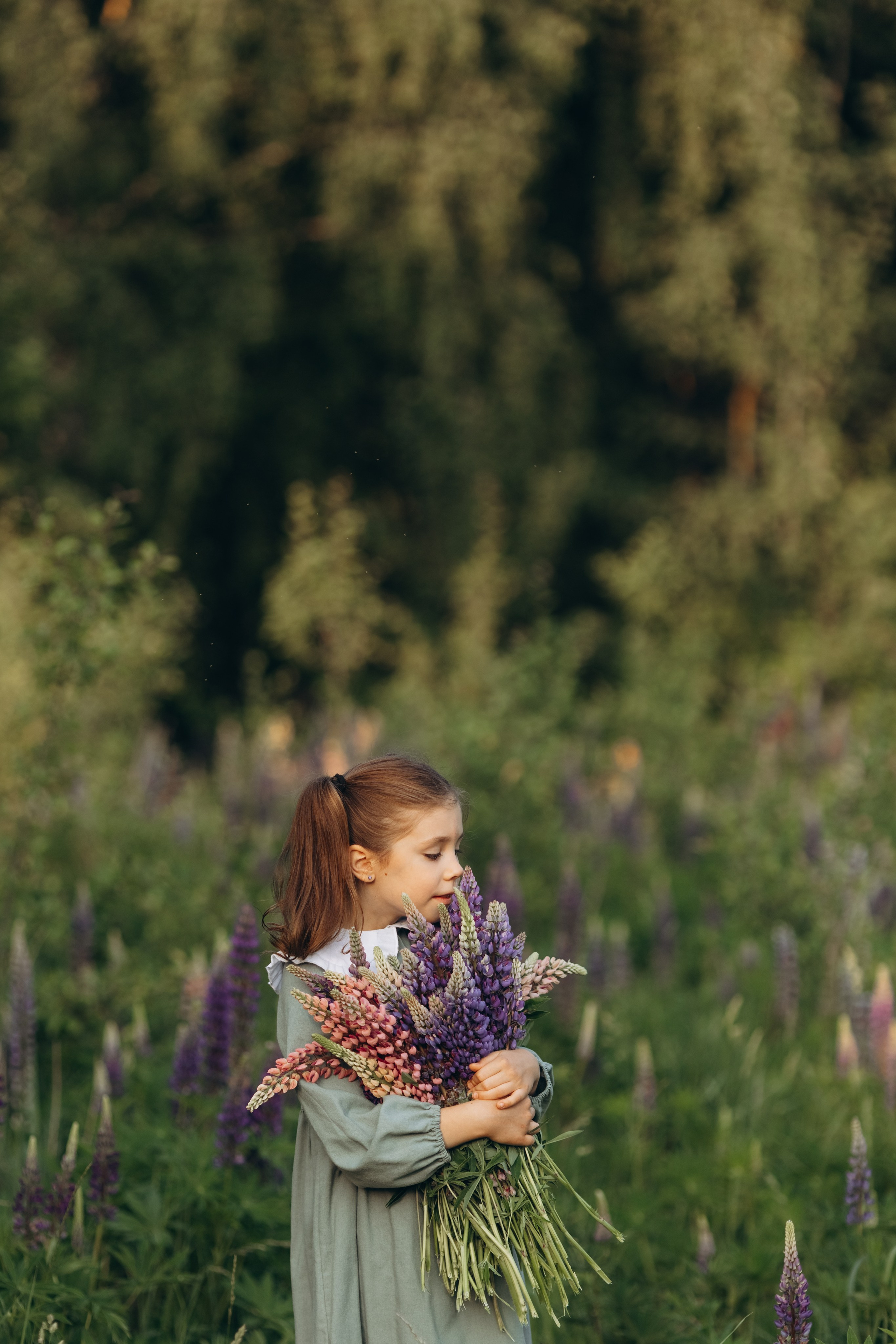 В люпинах. Фотограф Людмила Оюн