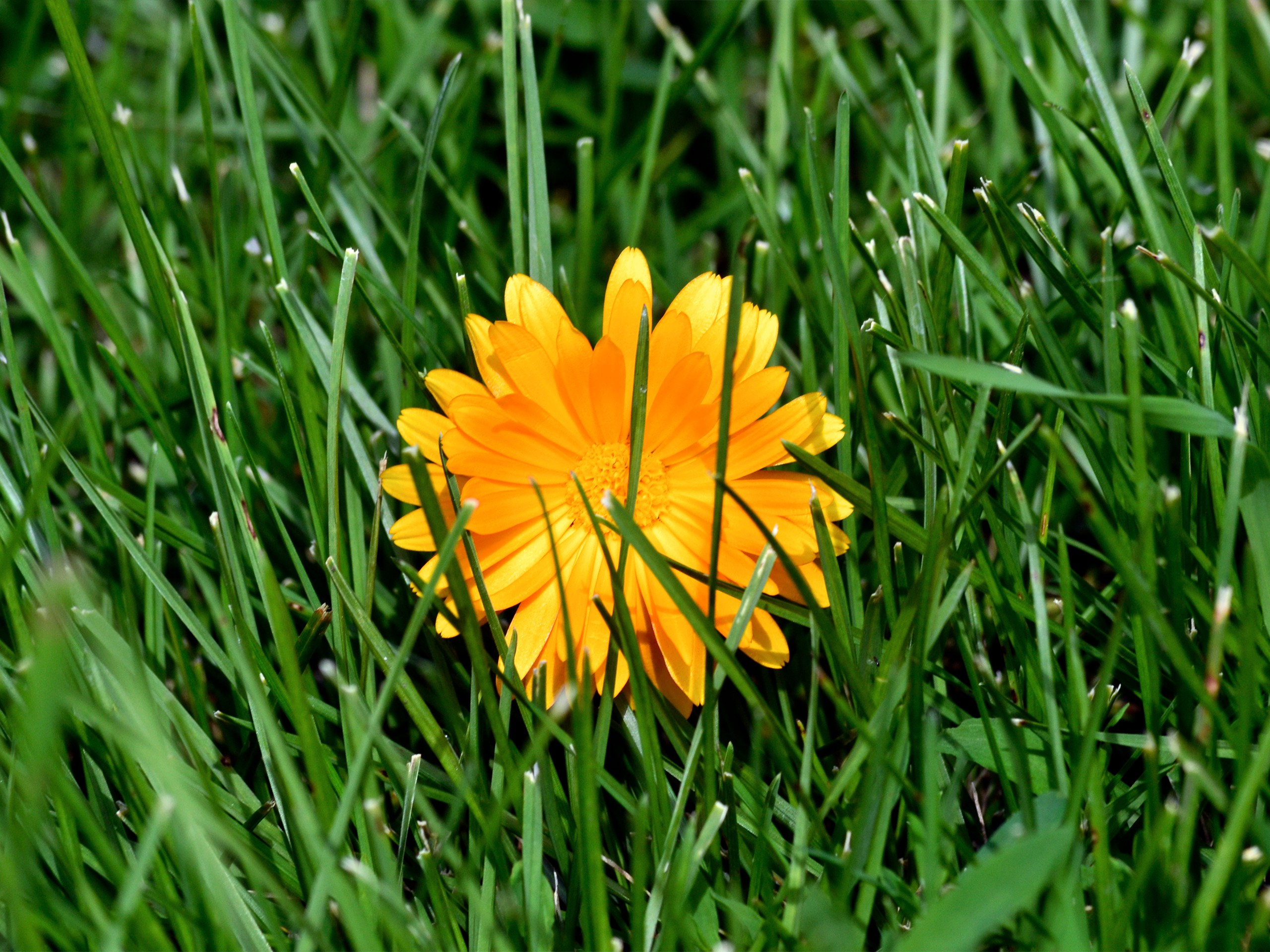 Фотограф | Видеограф в Кургане, Тюмени и Челябинске