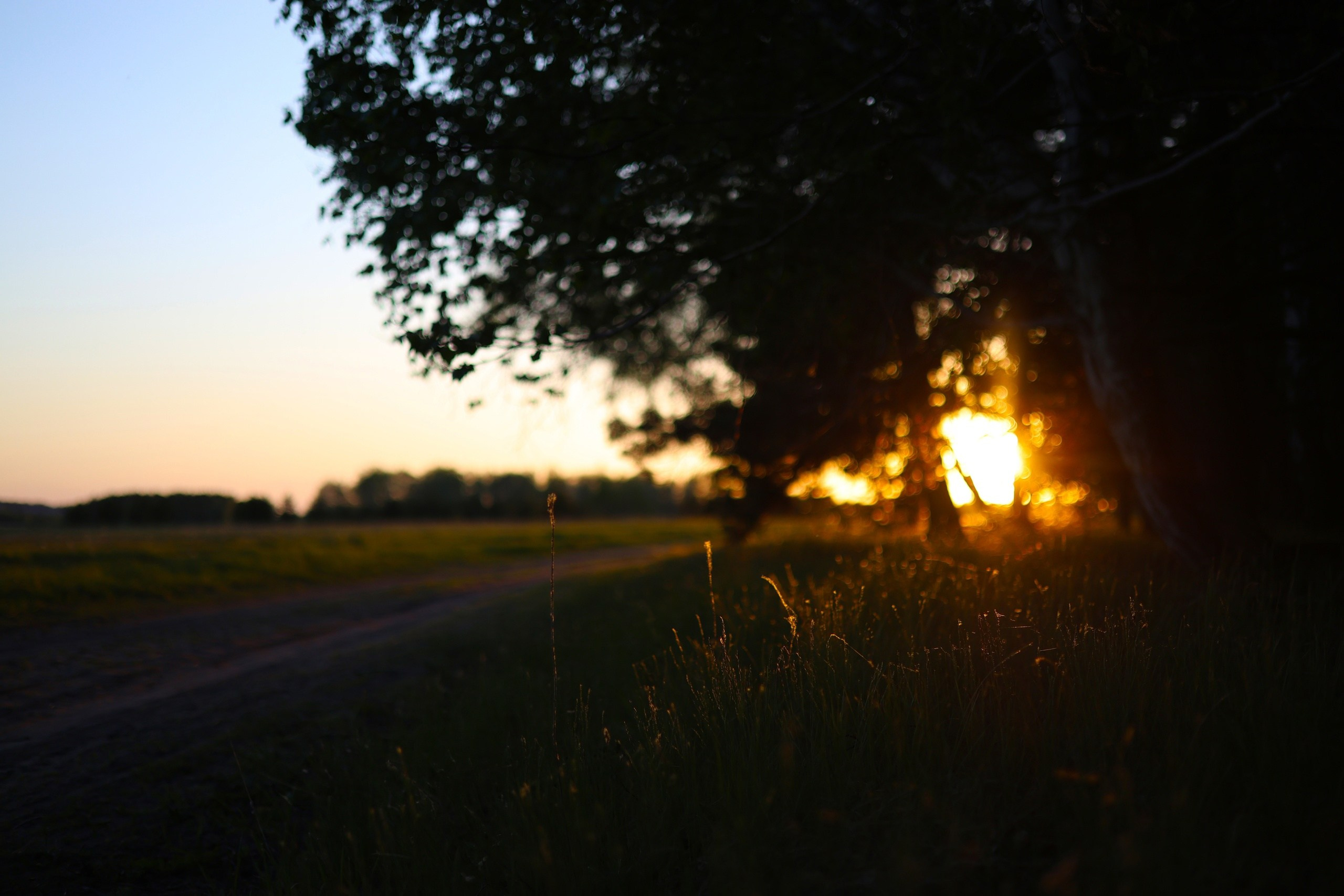 Кормина Алина | ANDOSIA. Фотограф | Видеограф в Кургане, Тюмени и Челябинске