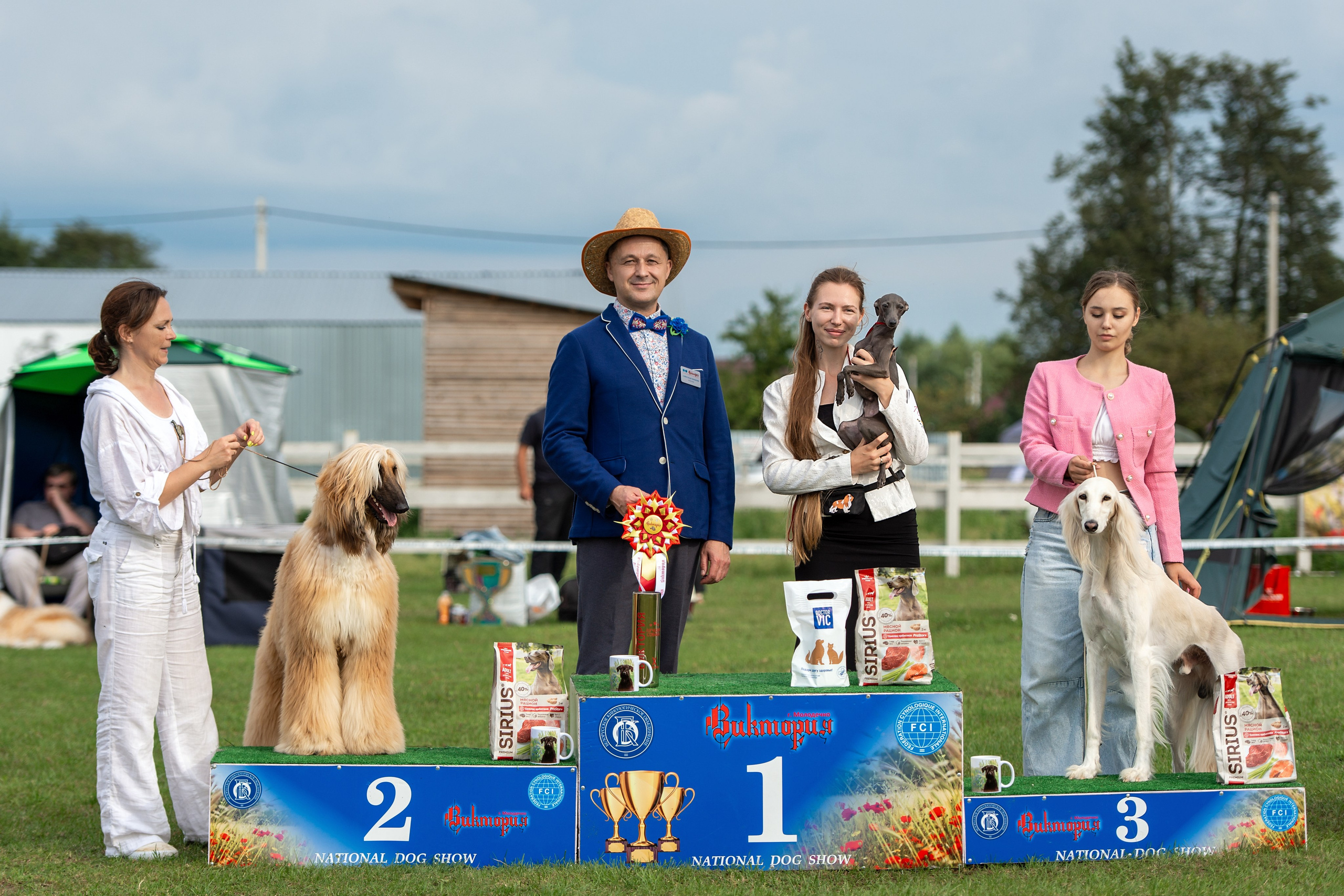 Республиканская выставка собак всех пород. Галерея фотографий афганской борзой