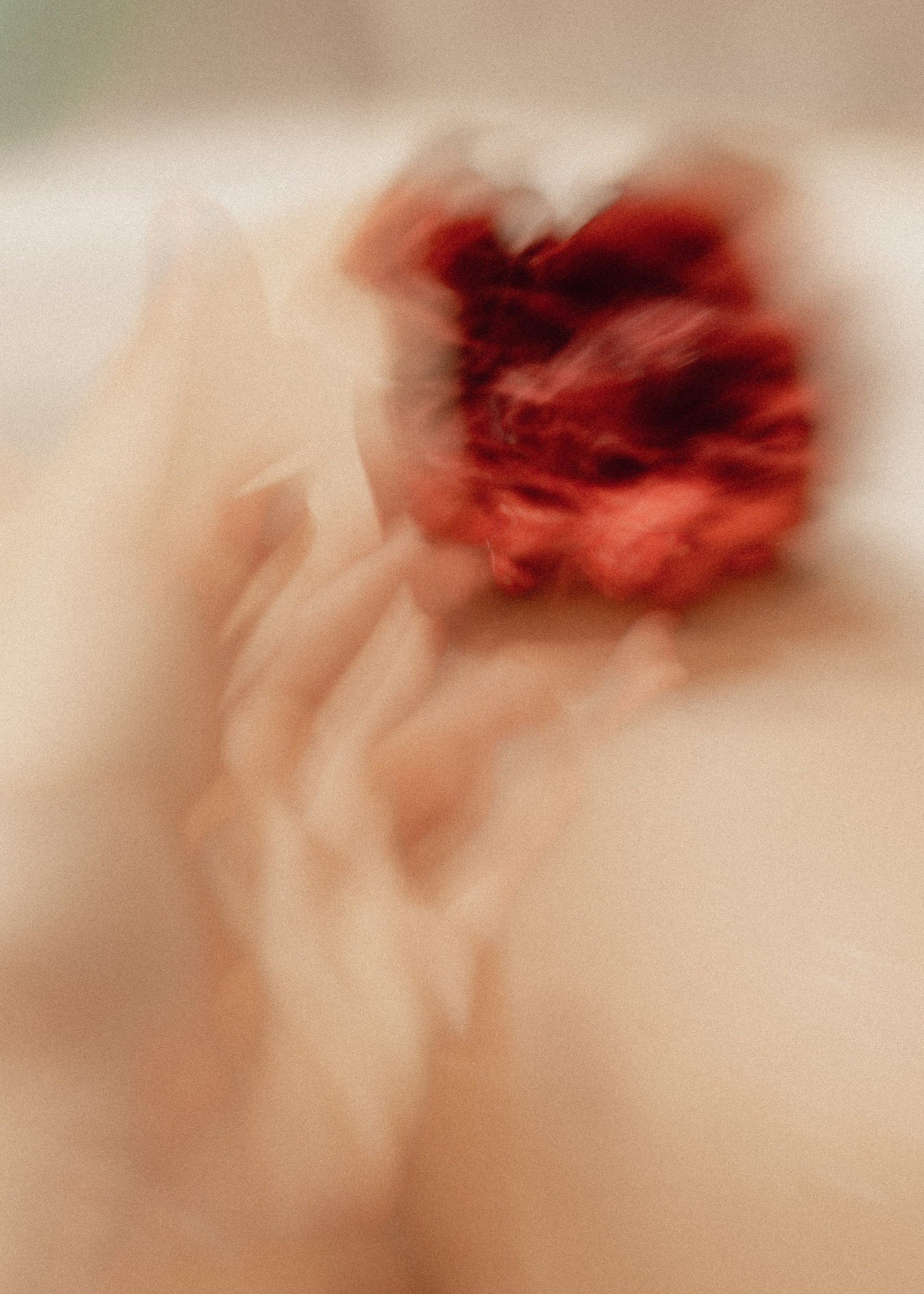 ЦВЕТА, 2025-2026. АННА ВЕРСО / ANNA VERSO | Визуальный художник / Visual artist