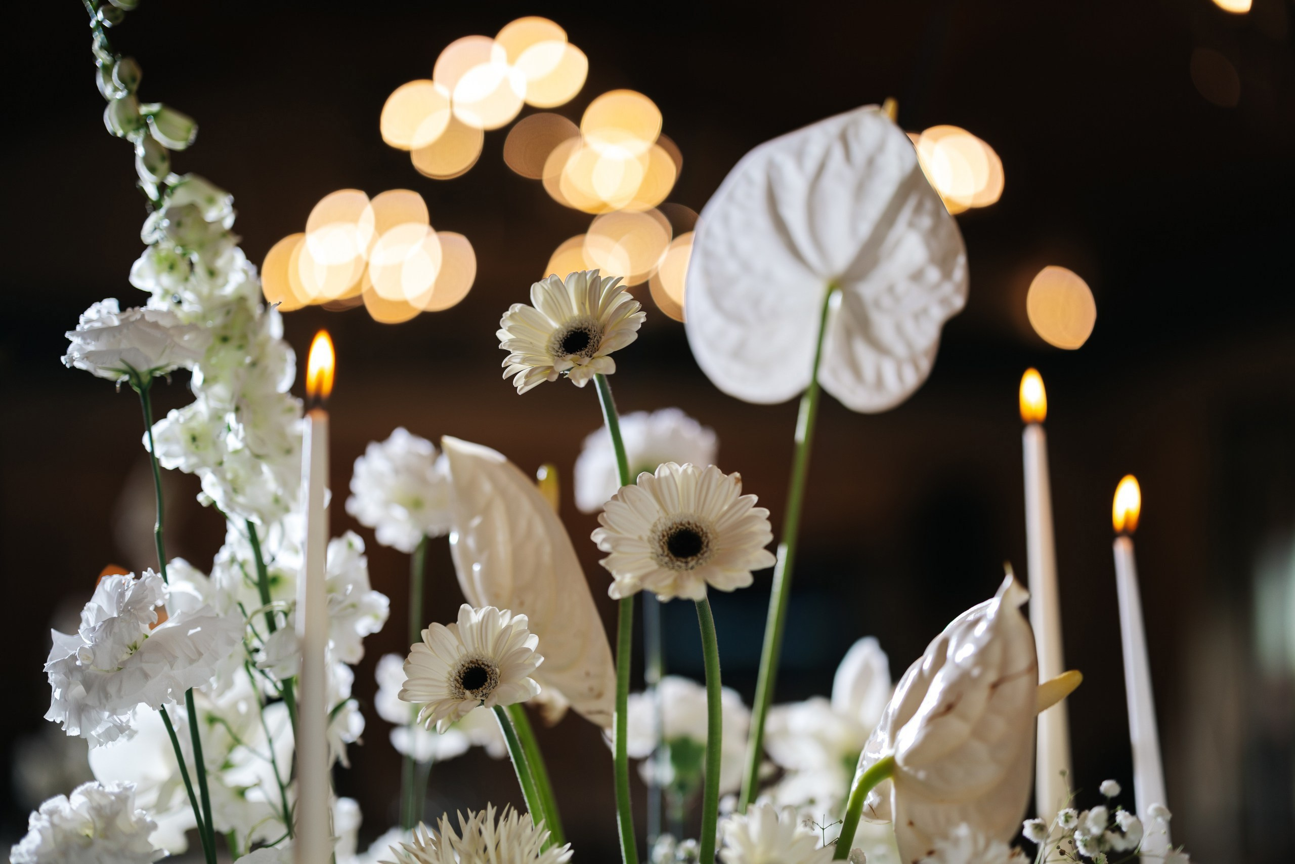 Дима и Катя. Свадебный фотограф Москва Мотеюнайте Виктория