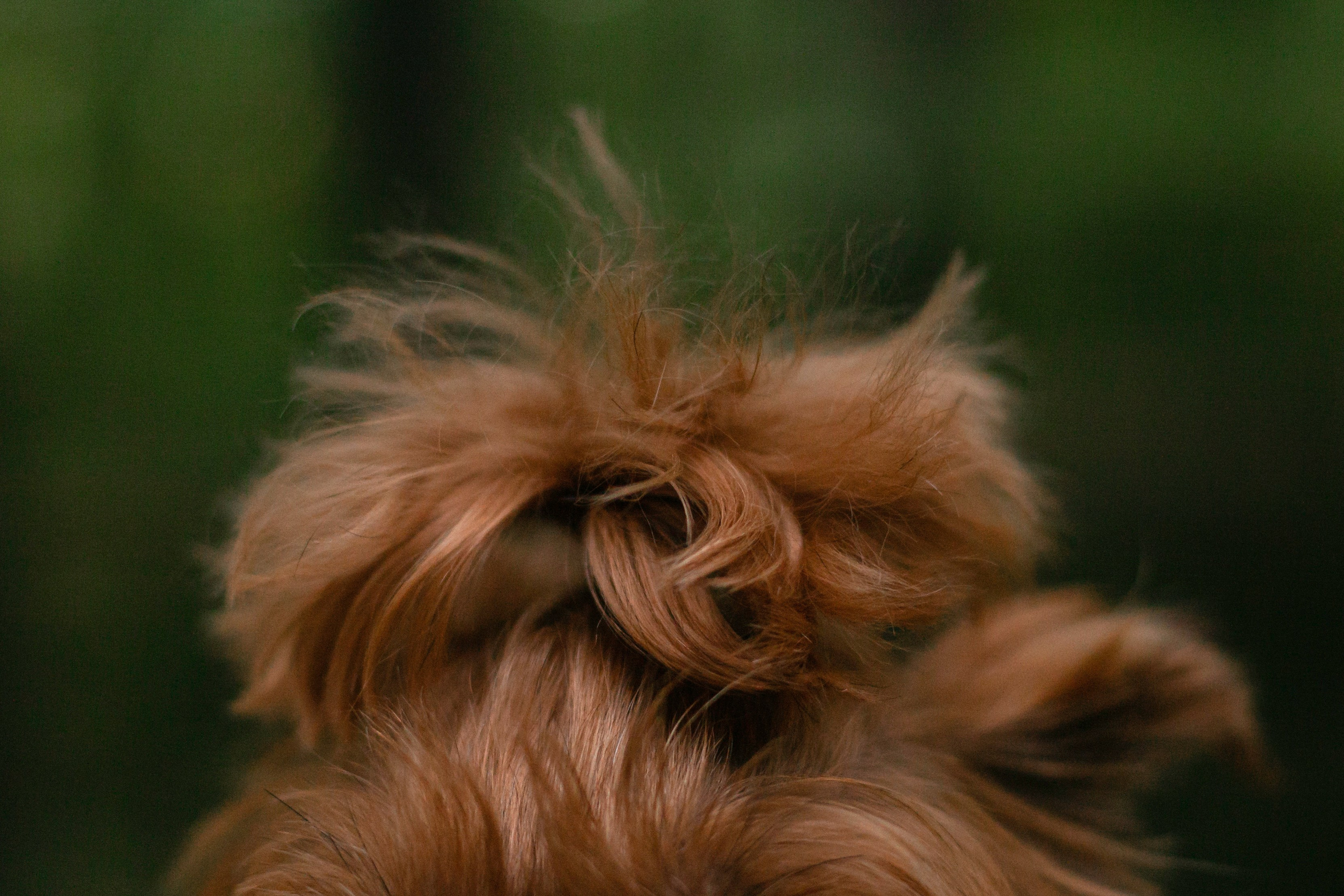 Катя и Моня. Фотограф-анималист Татьяна Степанова