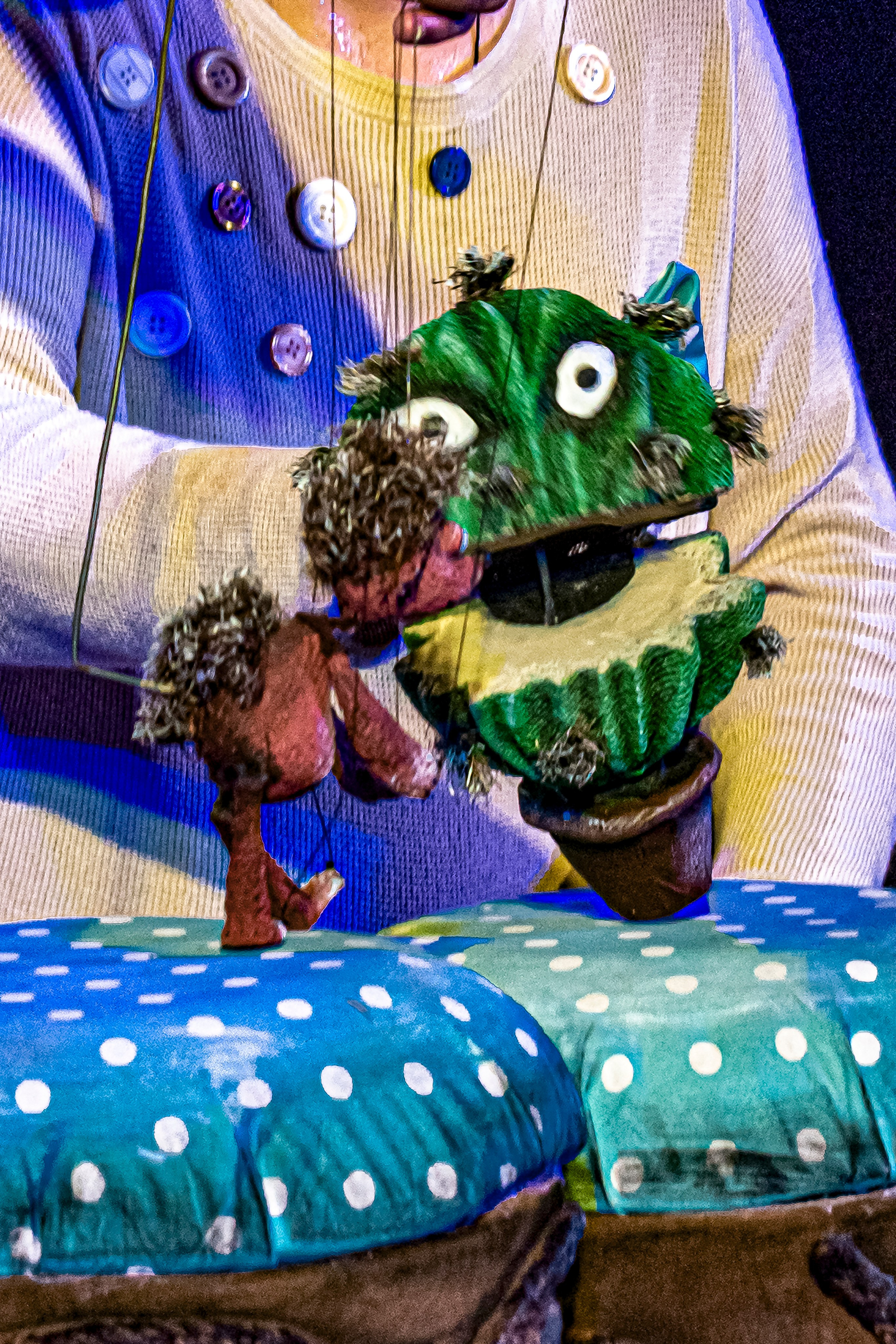 Колючая сказка. Фотограф в Сочи Юрий Шептаев