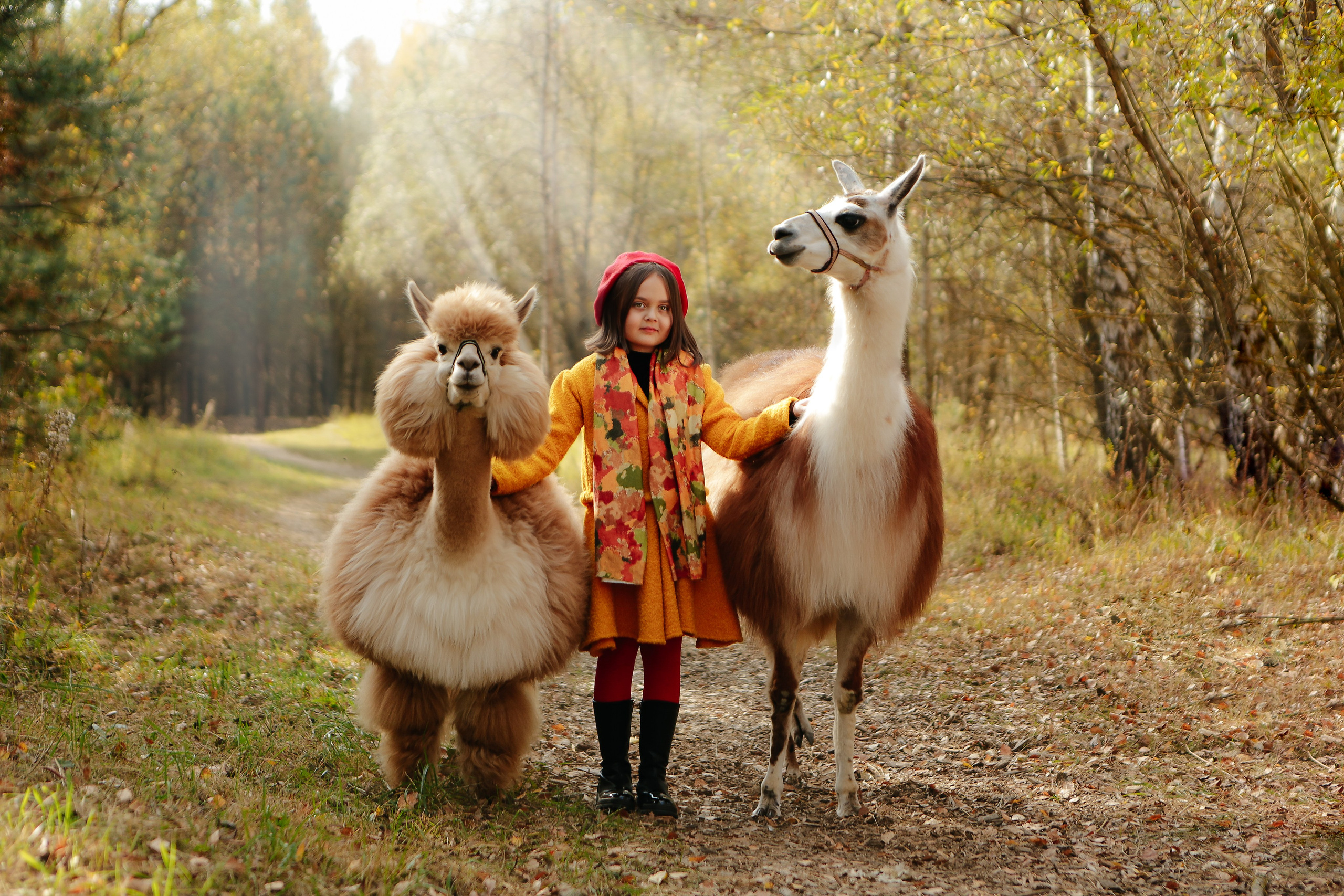Альпаки. Семейный и детский фотограф в Москве Александра Мак
