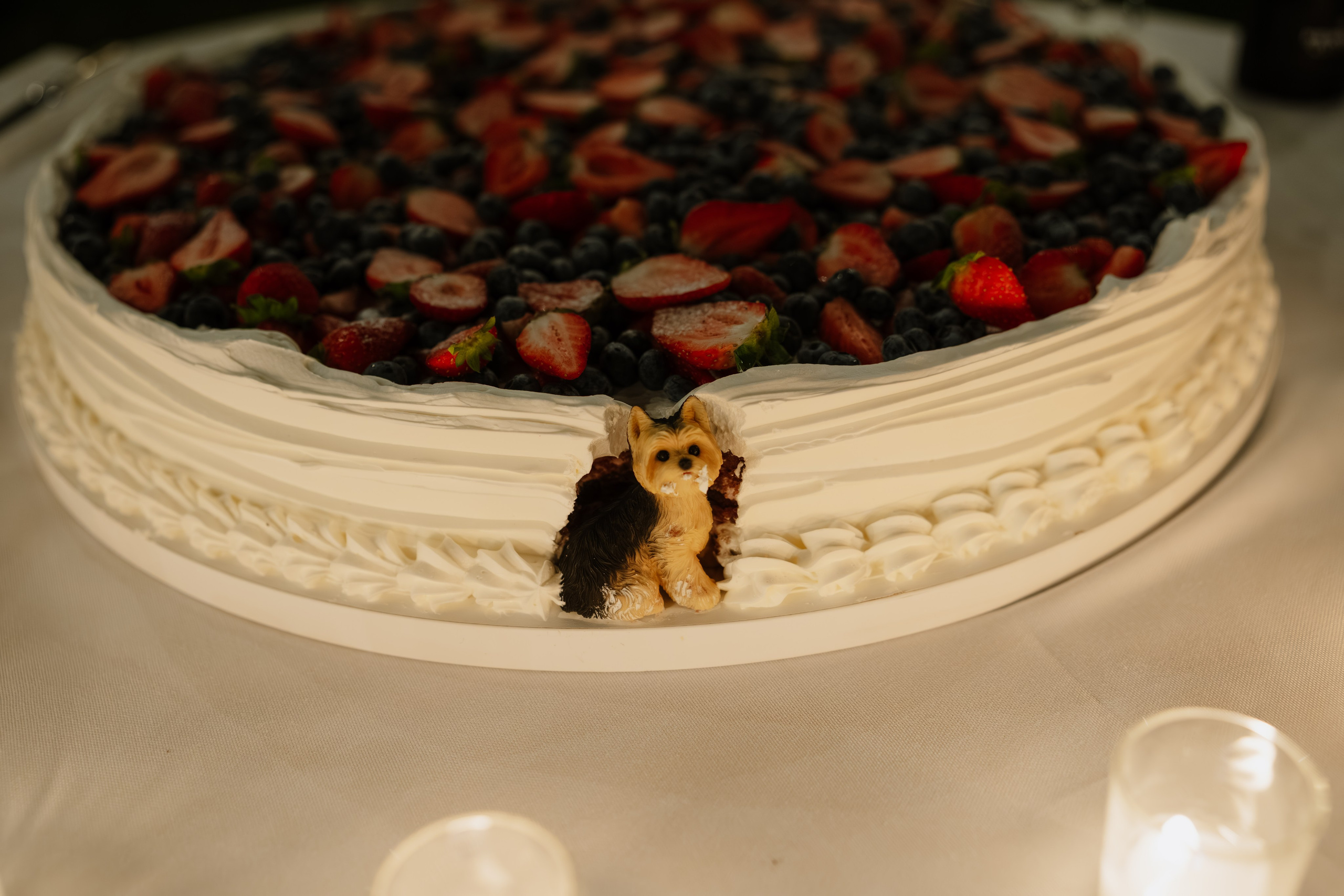 Vera & Lorenzo | Biella, Italy. Professional Wedding Photographer Geneva & Romande Switzerland | Tanya Creator