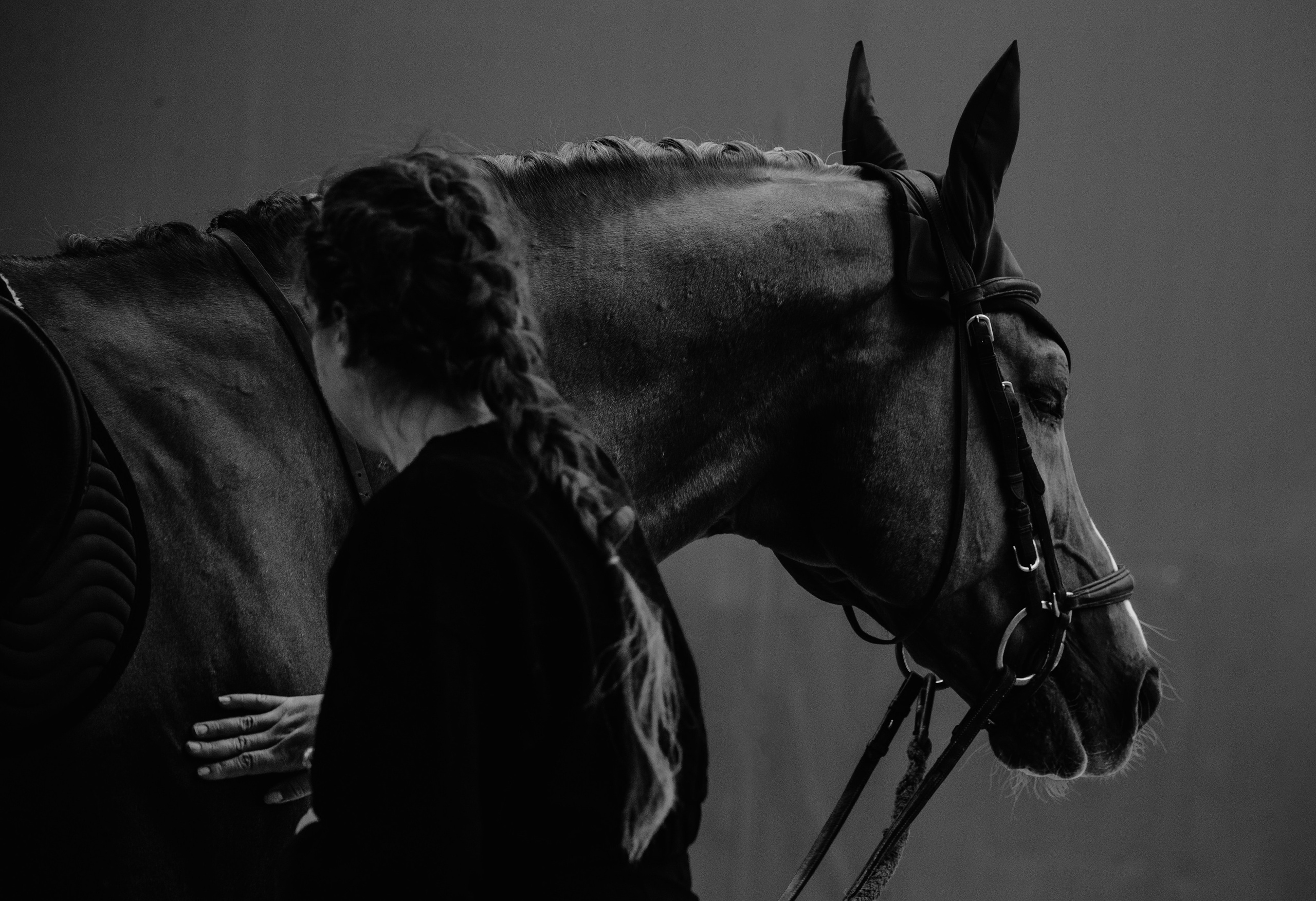 Тренировки. Фотограф-анималист Ксендзова Кристина