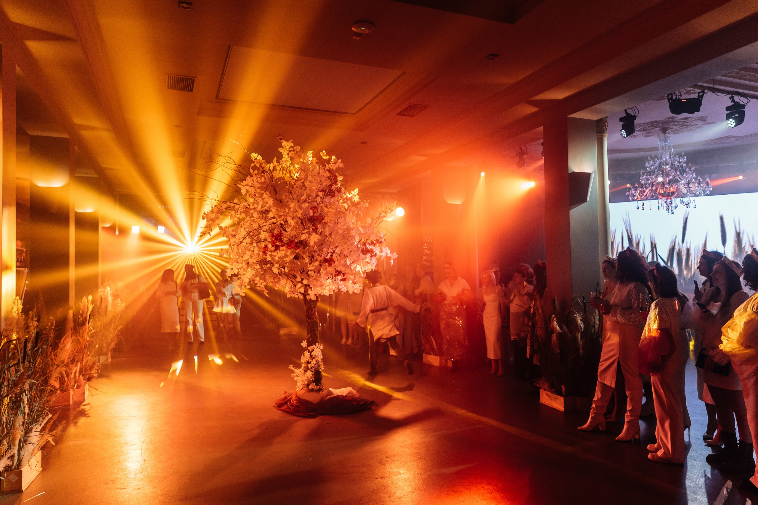 МЕГАДЕВИЧНИК 8 марта. Портфолио свадебного фотографа. Роман Каргаполов