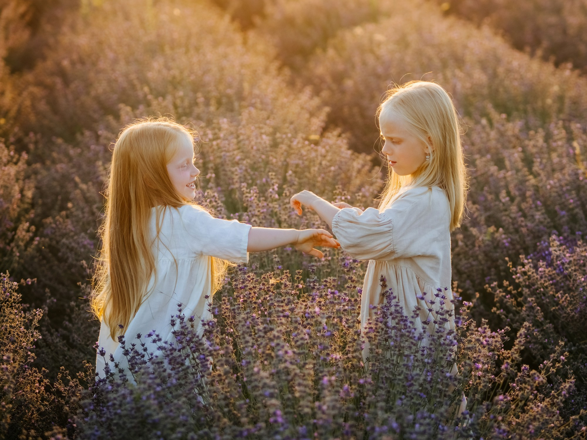 Лаванда. Семейный, детский, свадебный, фотограф в городе Анапа
