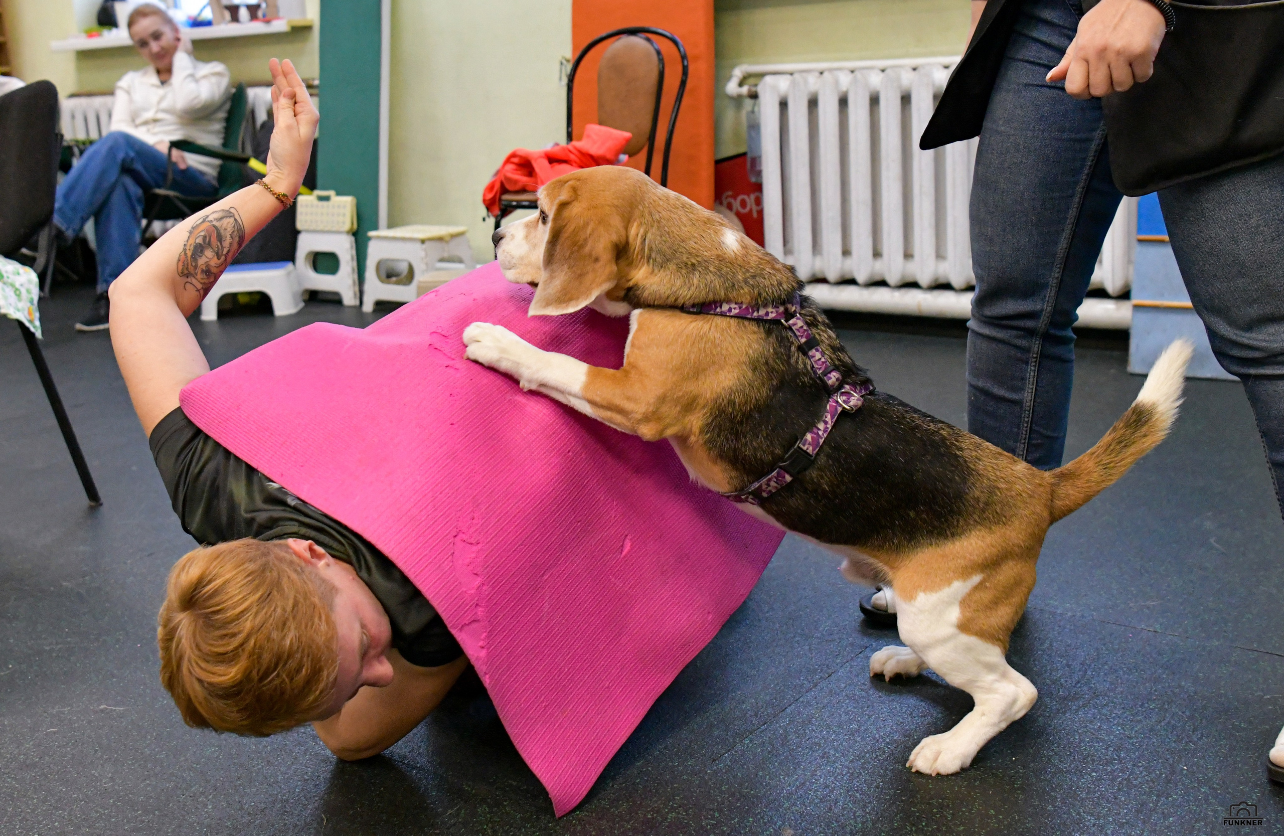 Кинологический клуб «Бодрый хвост». Свой взгляд через объектив