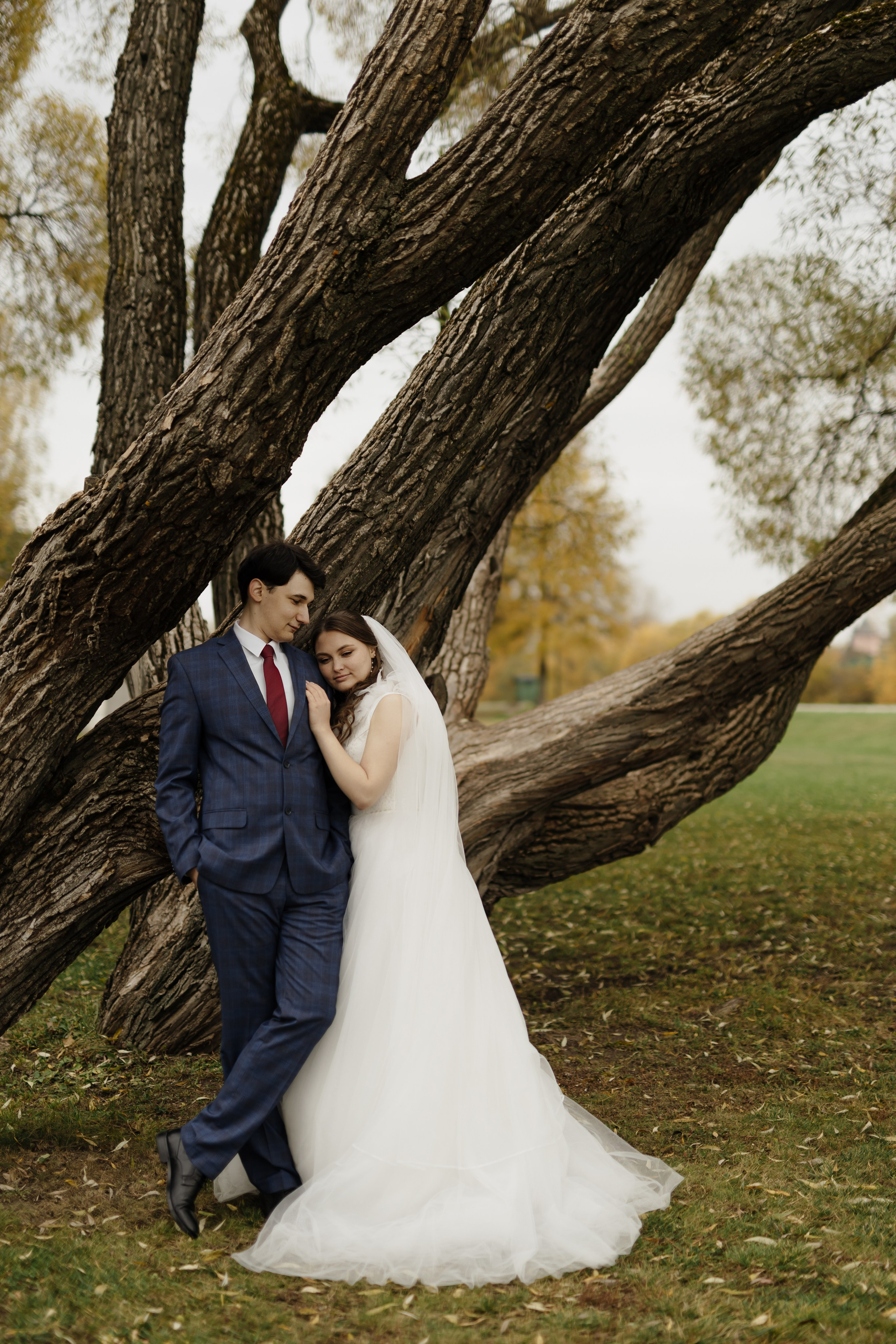 Свадьба Даниила и Виктории. Фотограф Кольчугино/Владимир/Москва Елизавета Иода