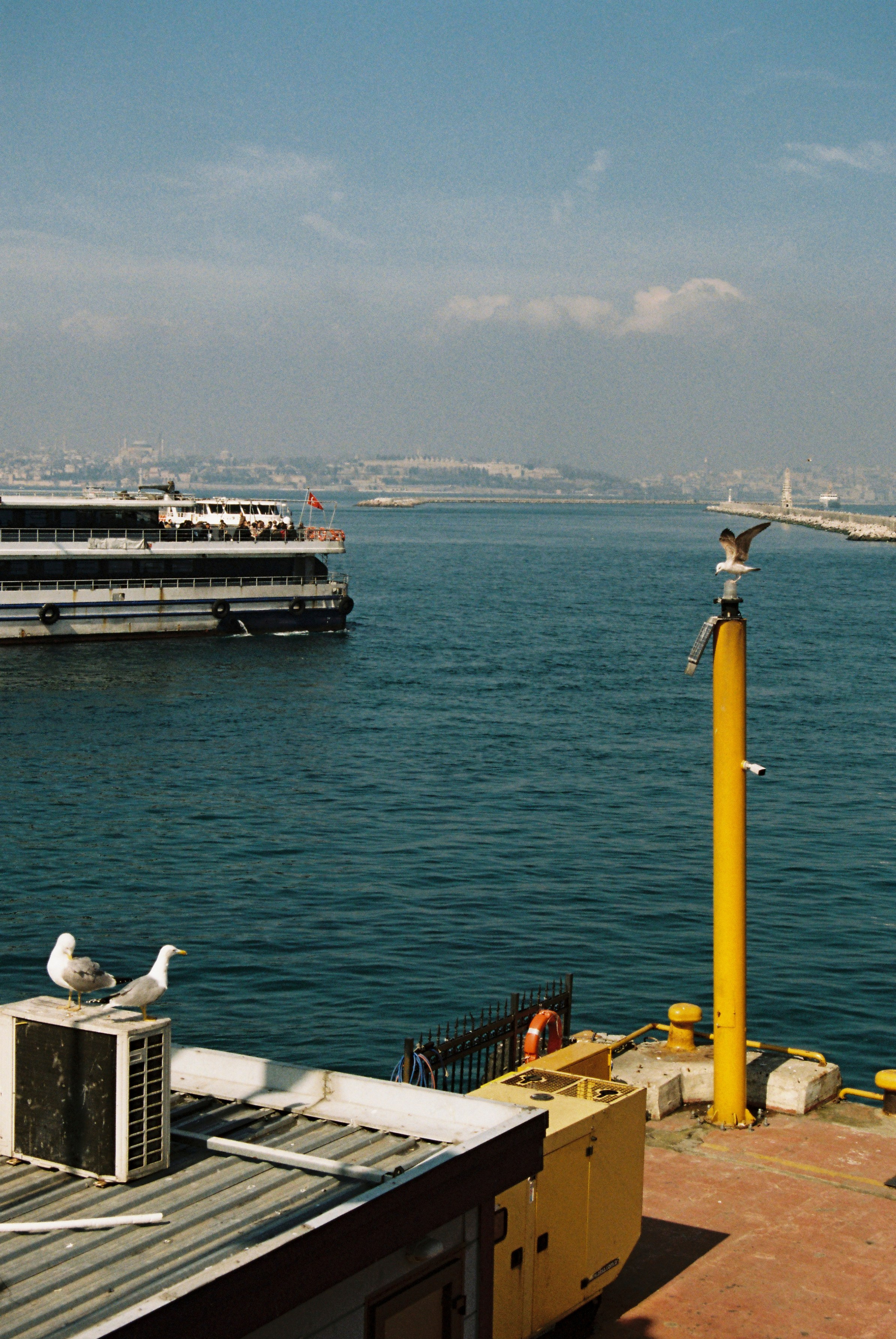 Film chronicle. Kosky ilya