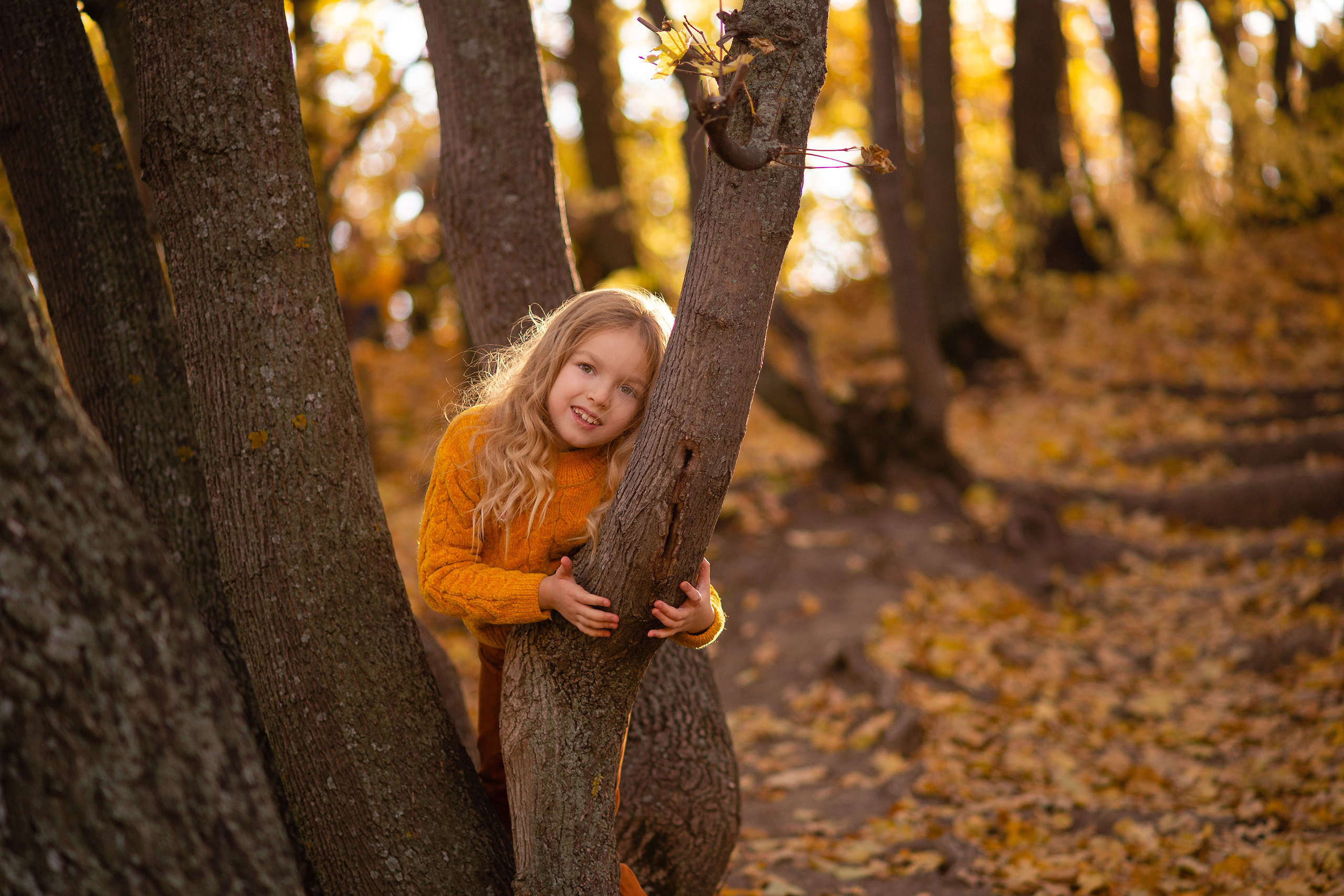 Девочка с золотистыми волосами обнимает молодой дуб в осеннем лесу и мило смотрит в камеру.