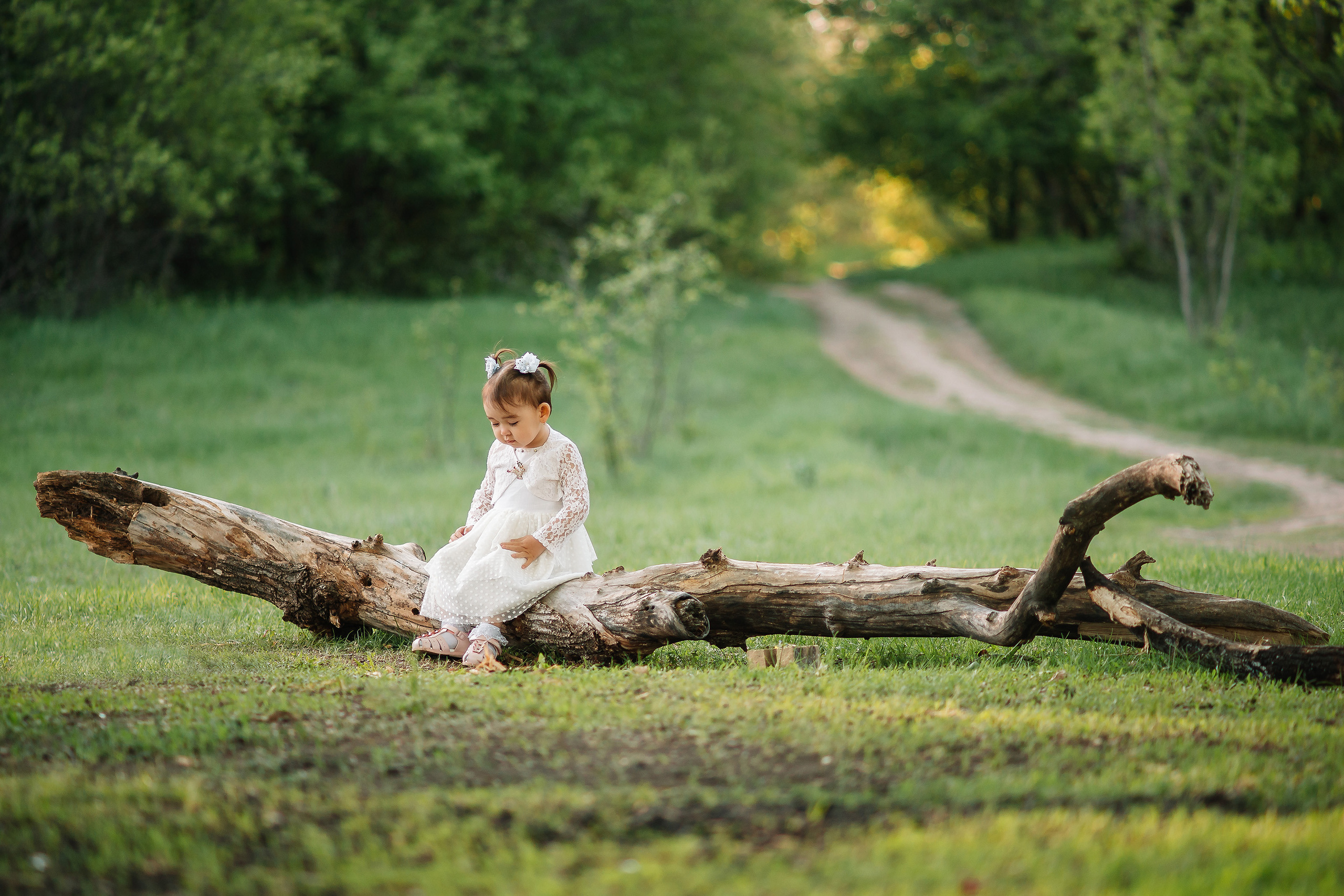 Маленькая девочка в белом платье сидит на бревне посередине зеленой поляны, а на заднем фоне тропинка уходящая в лес.
