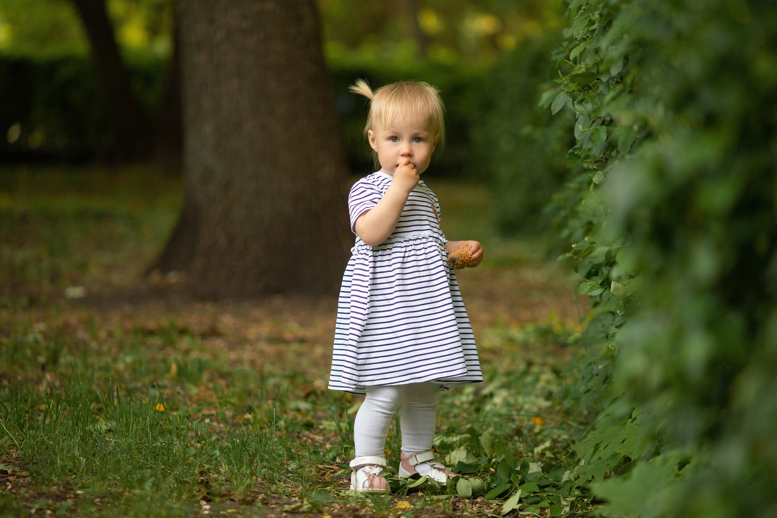 Детский фотограф Саратова сфотографировала милую девочку на фоне старого дуба в горпарке Саратова.