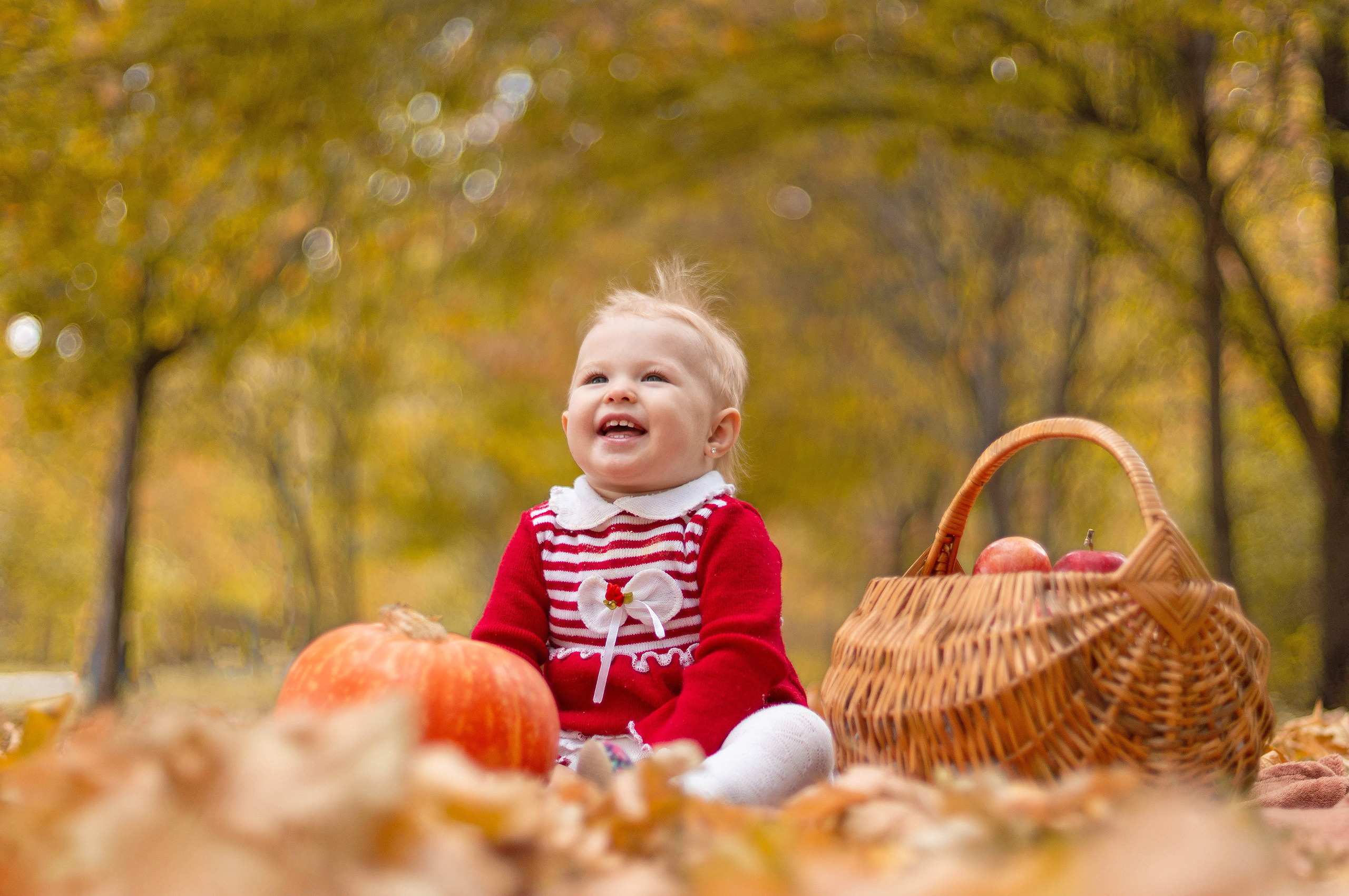 Маленькая белокурая девочка в осенней фотосессии с тыквой и корзинкой в объективе Саратовского фотографа Ирины Шпилевой.