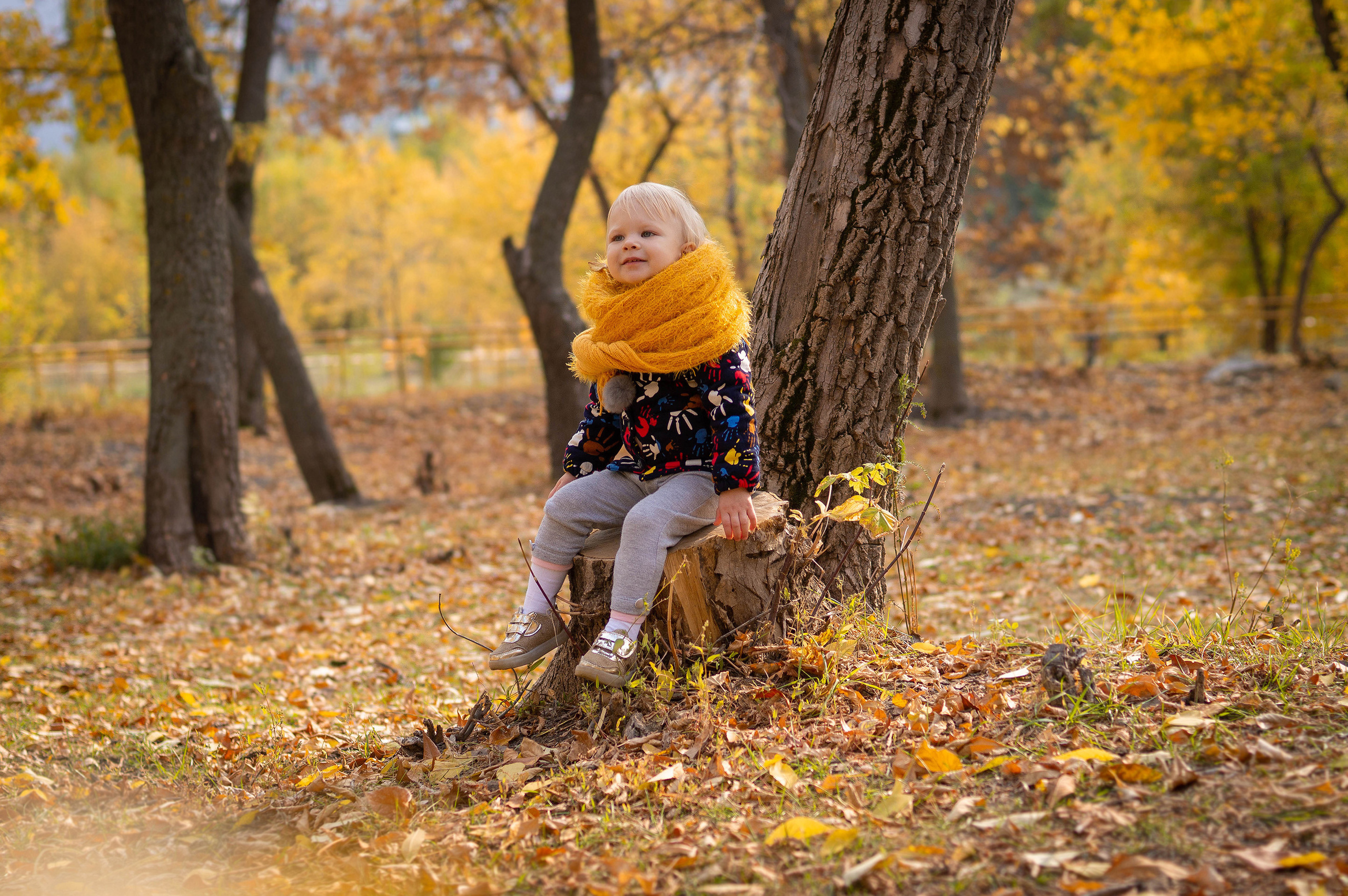 Маленькая светловолосая девочка сидит на пеньке в осеннем парке, а на шее у неё большой желтый шарф.
