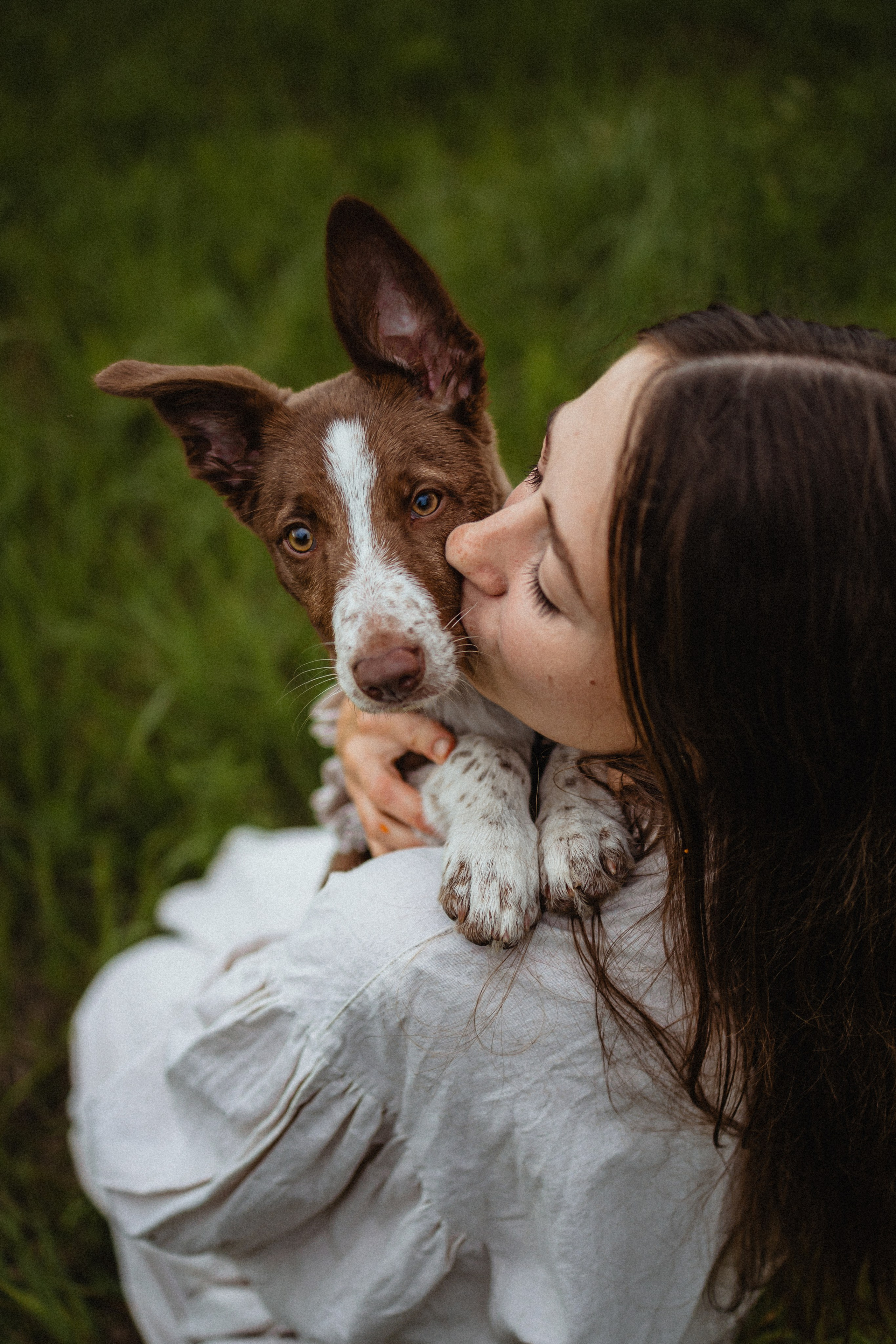 Выездной дог-тренинг от школы «Шерсть имею»