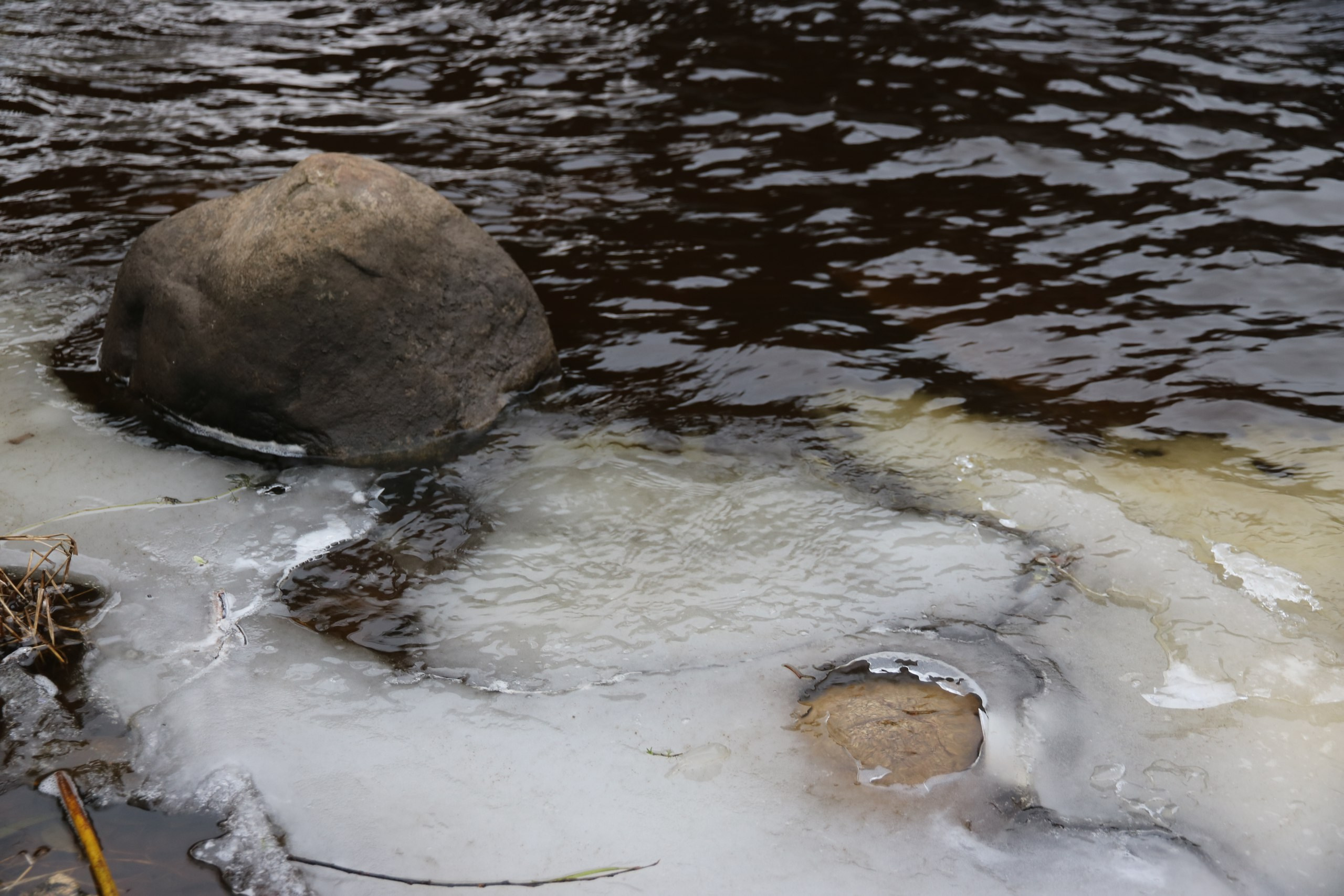 Псков | 18-20.11.2016. Галерея Фантим
