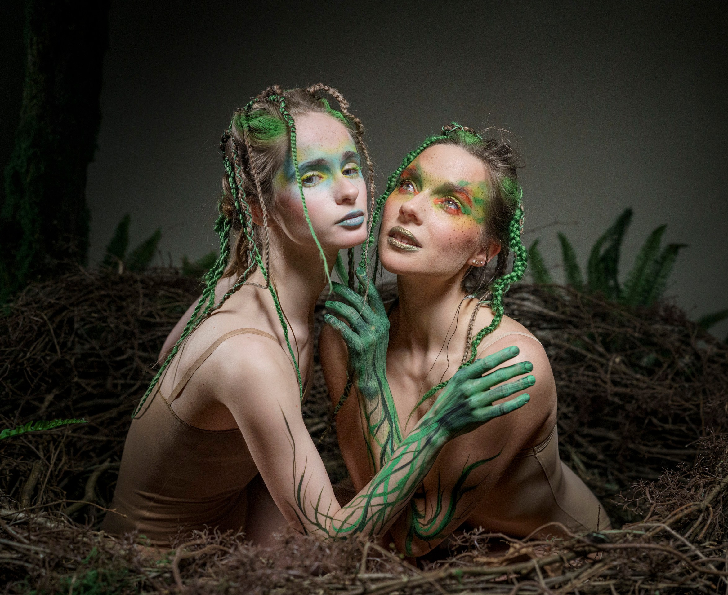 Гнездо. Фотограф Сергей Танков