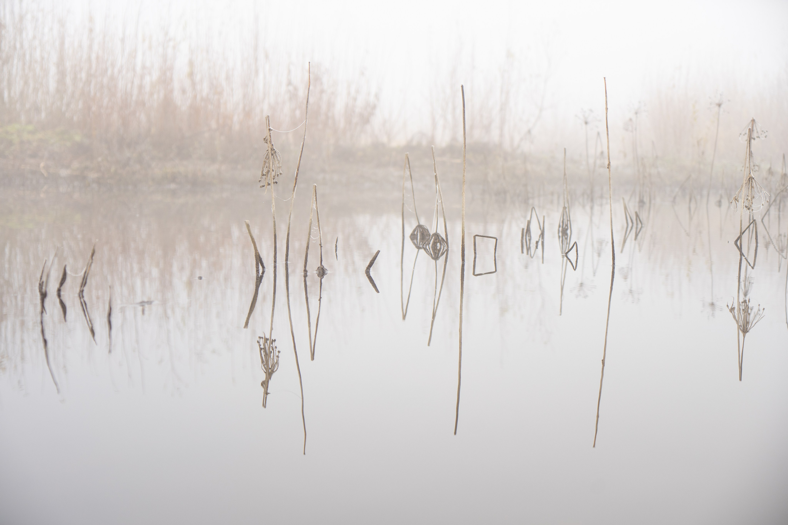 Связь с фотографом. Лиза Фирстова