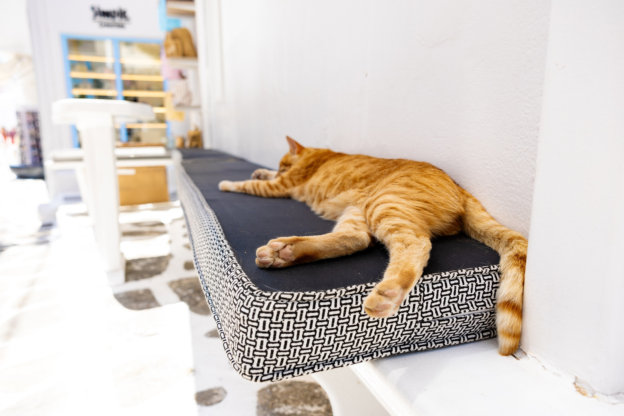 Миконос. Фото департамент круизного лайнера Астория Гранде