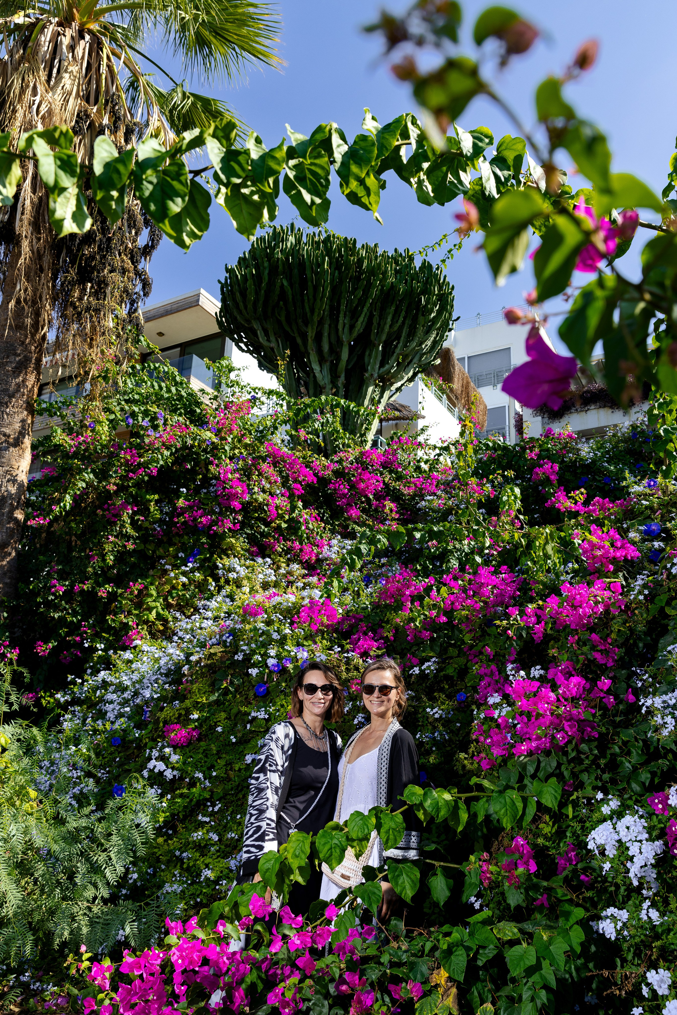 Бодрум. Фото департамент круизного лайнера Астория Гранде