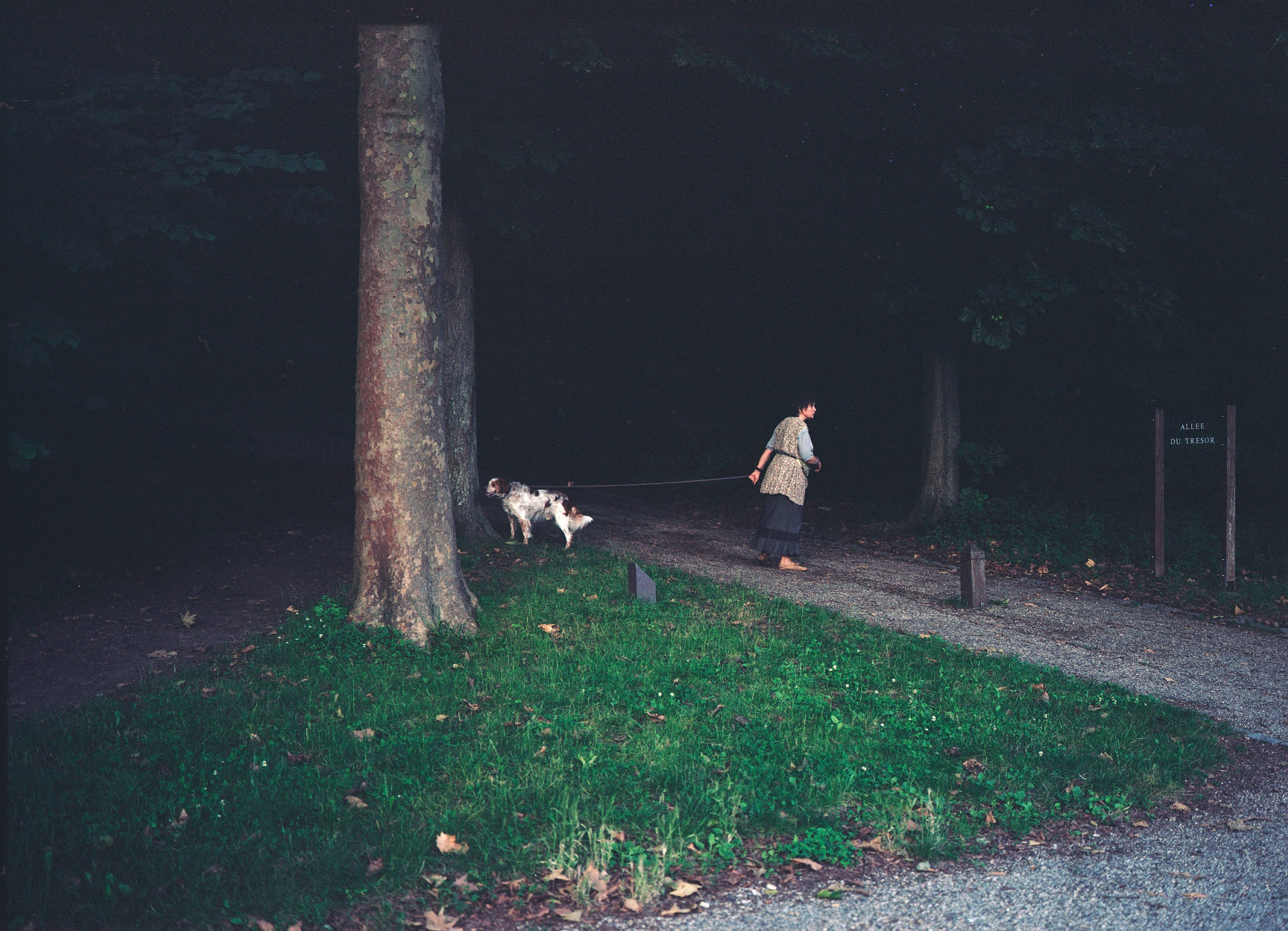 Fine art. Katya Zimina, film photographer