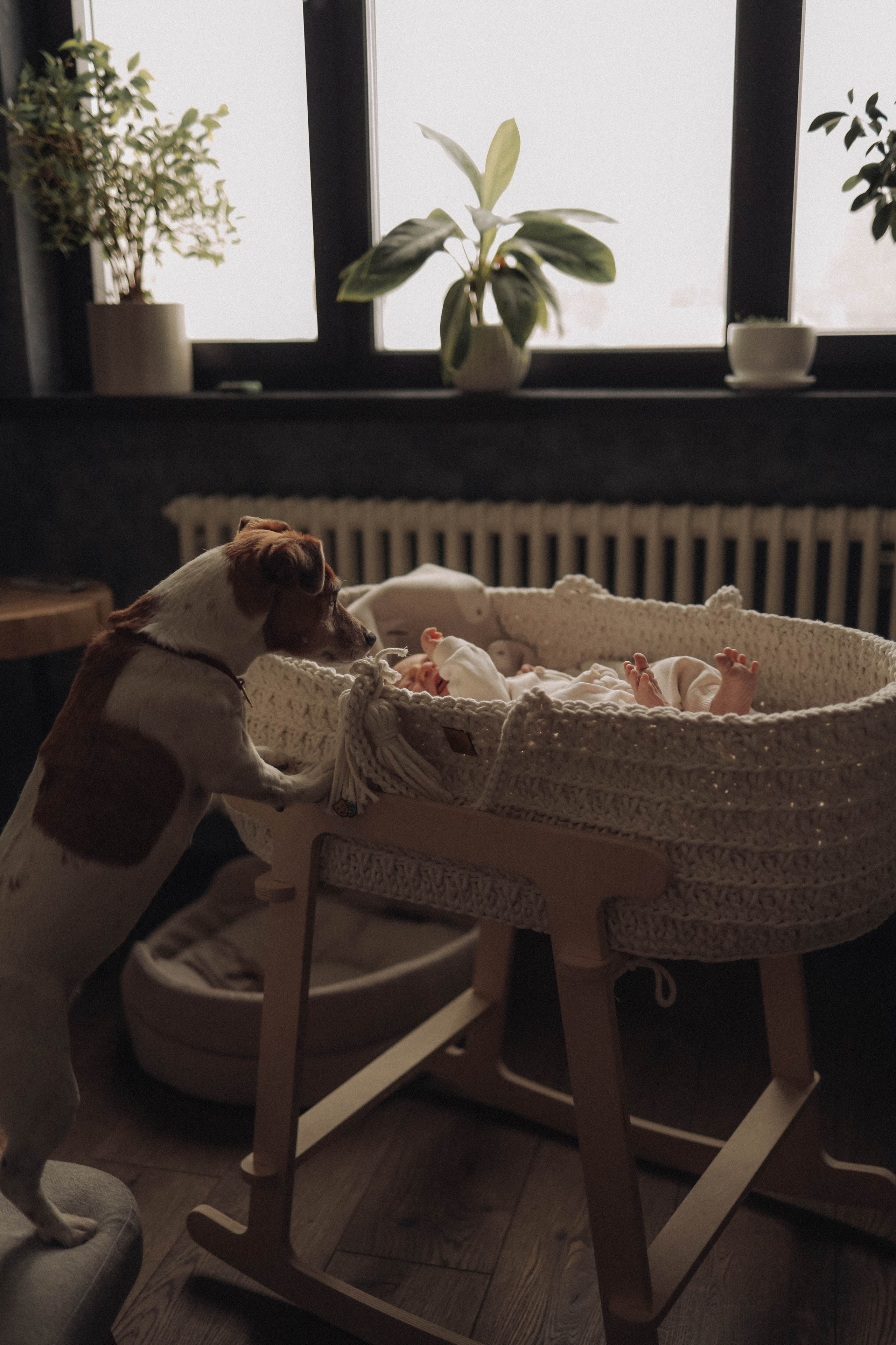 Истории о самых маленьких. Марина Мужиченкова. Семейная и детская фотосъёмка в Москве