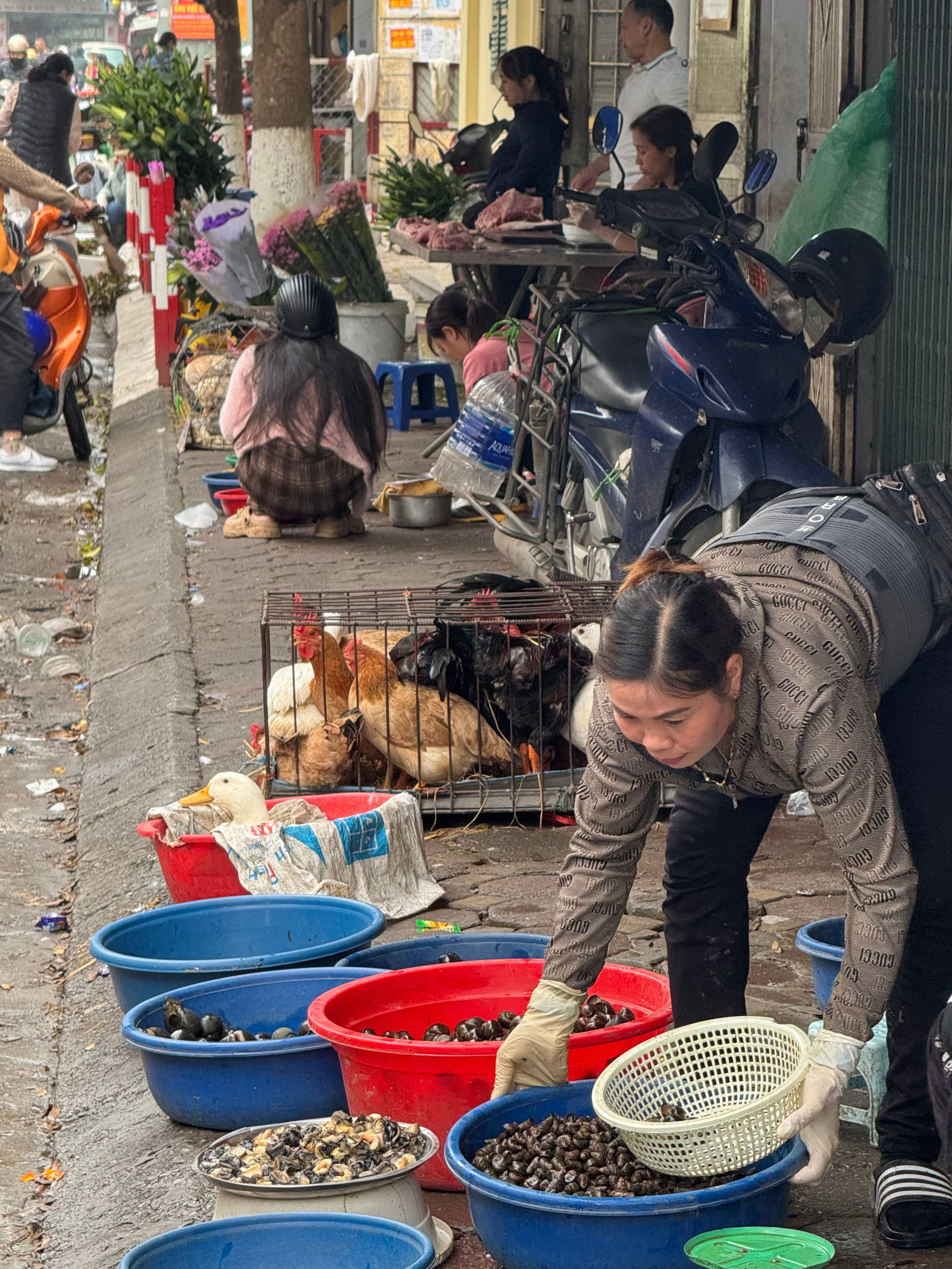 Вьетнам.Ханой 2025. А вот и да!