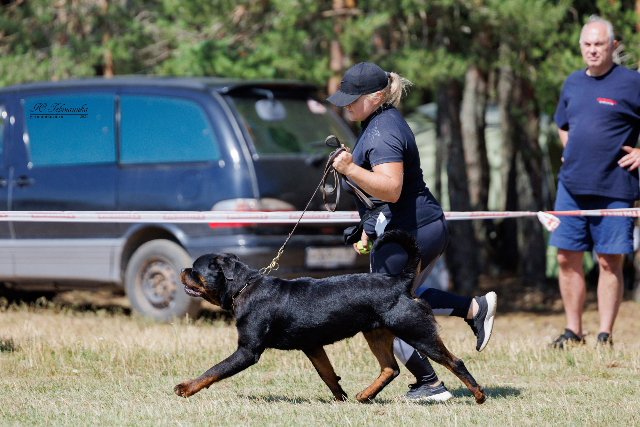 ПК и КЧК ротвейлеры Тверь 6-7.07.2024. Фотограф-анималист Юлия Германика