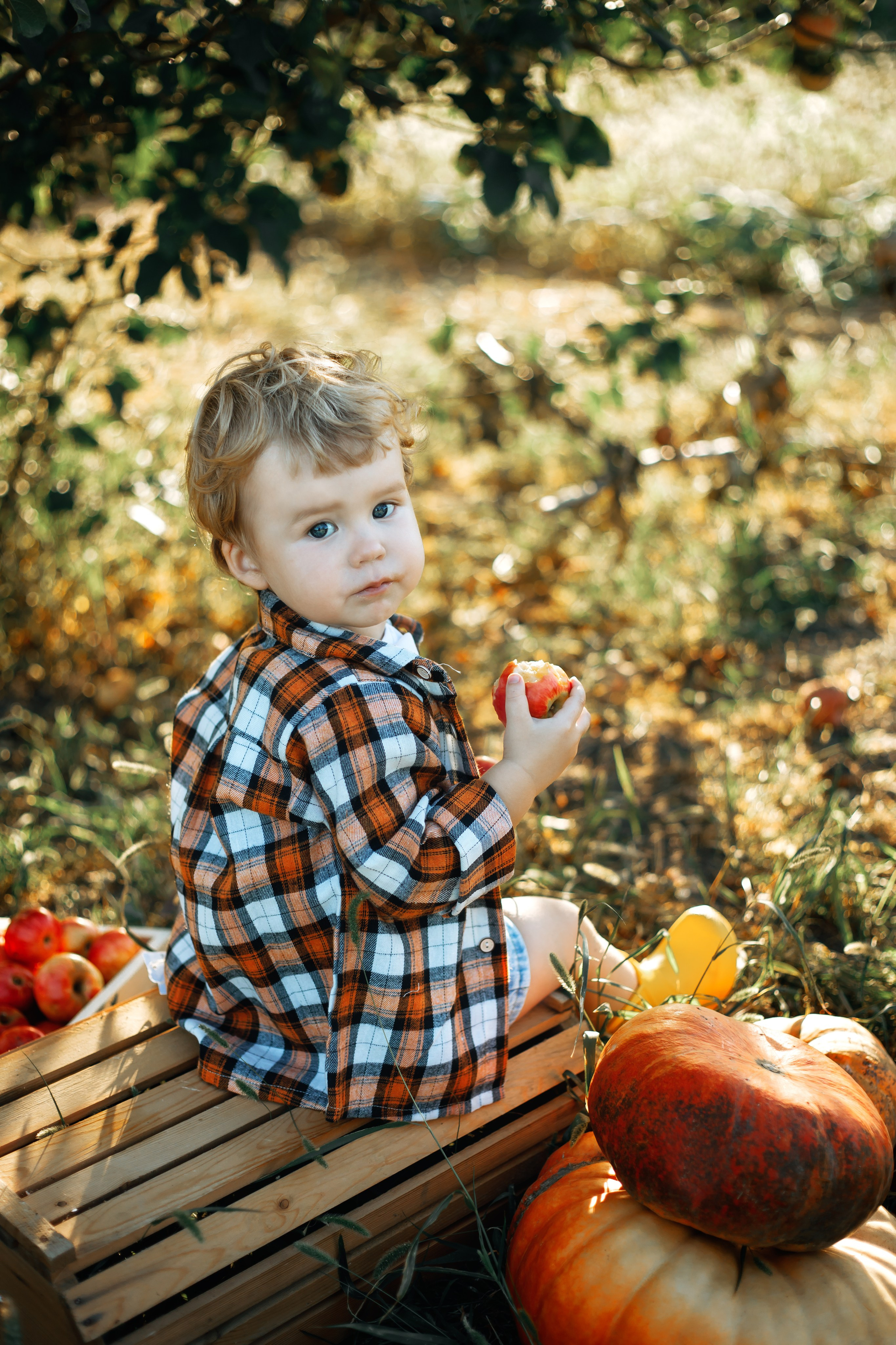 Фотосессия детская с тыквами. Свадебный и семейный фотограф в Краснодарском крае Мария Данилкина
