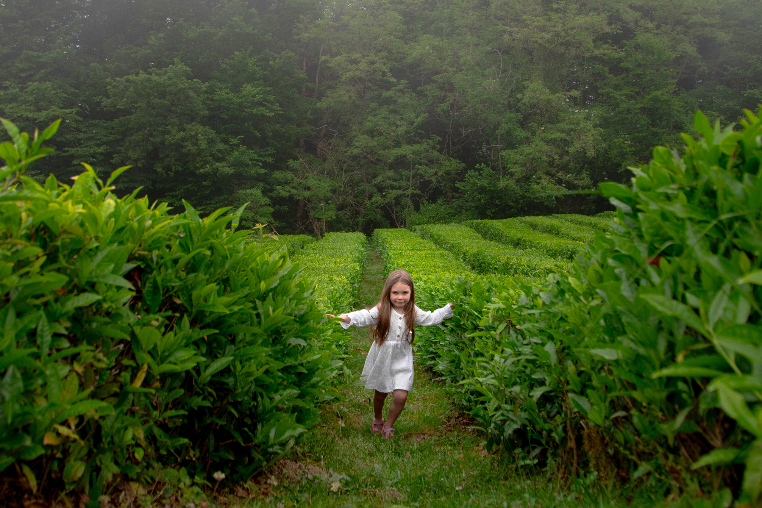 Семейная фотосессия, детские съемки, в студии и дома Сергиев Посад. Фотограф Марина Побединская
