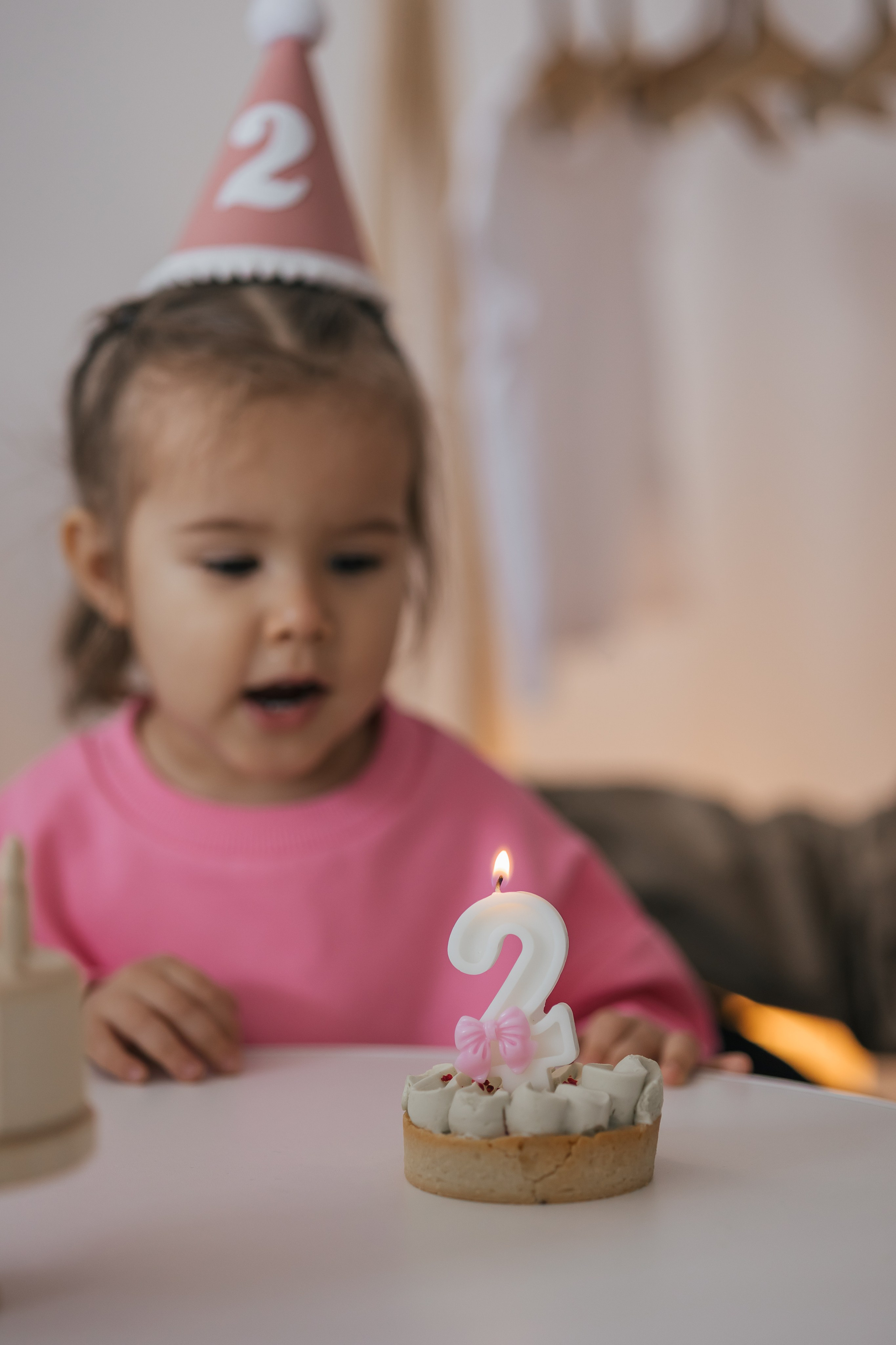 Сафине 2 годика. Семейный, свадебный фотограф в Чите Екатерина Мельникова