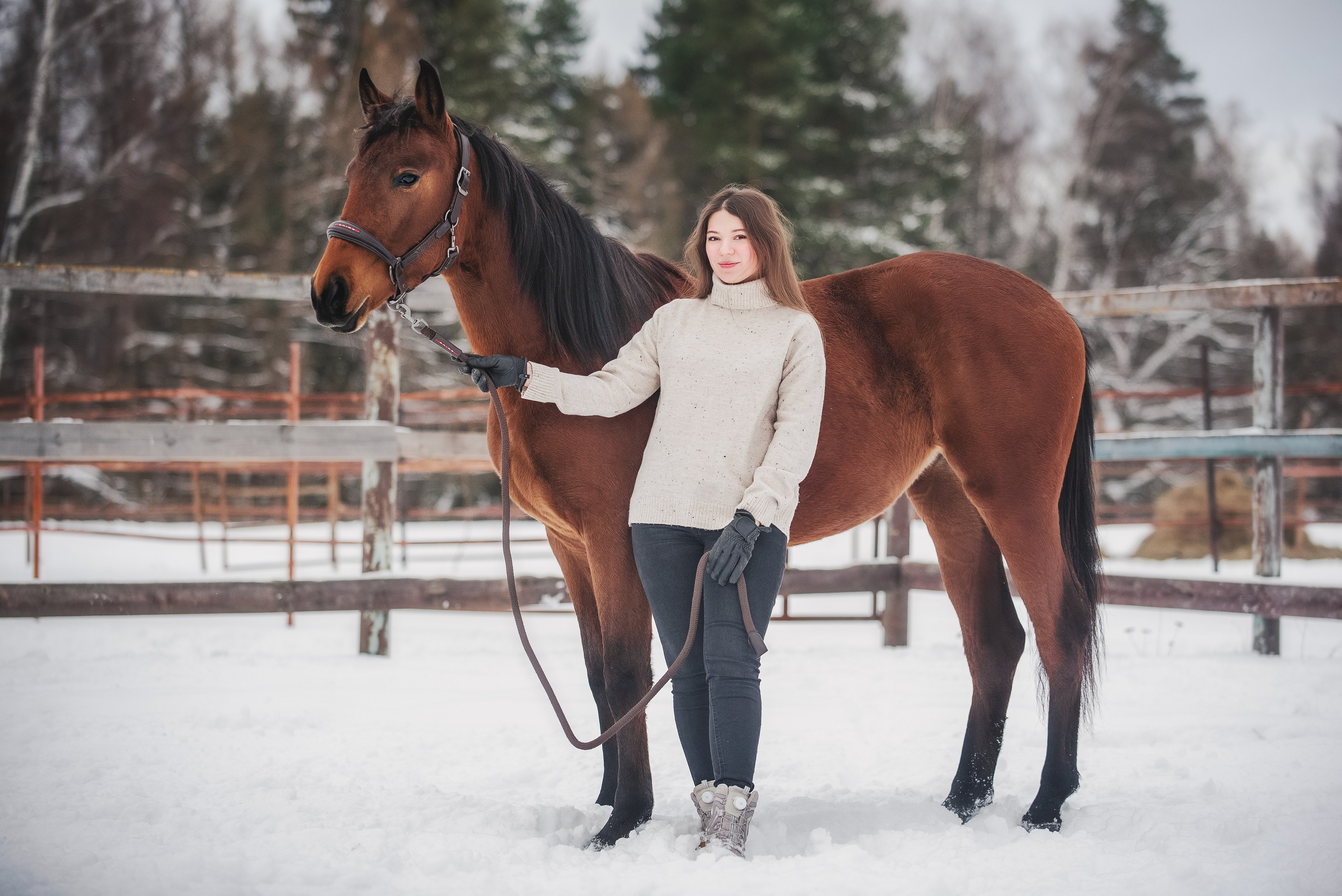 Дестини. Куракина Дарья • Конный фотограф