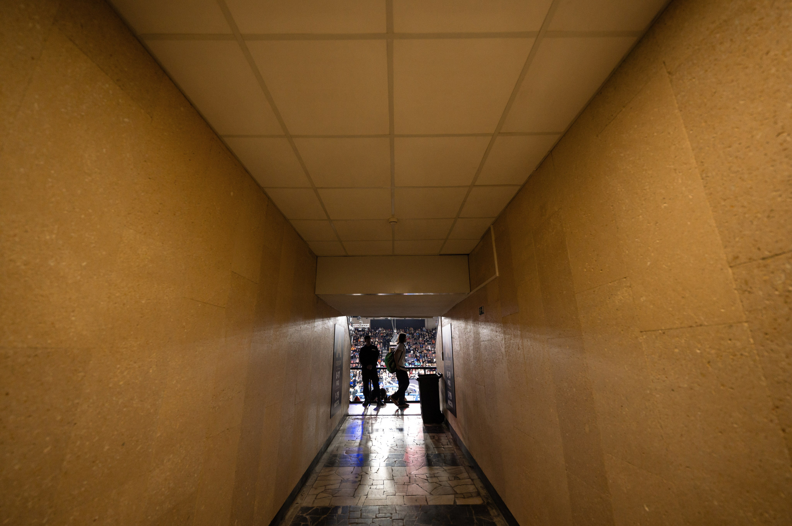 БЕТСИТИ ПАРМА — Локомотив-Кубань. Репортажный фотограф