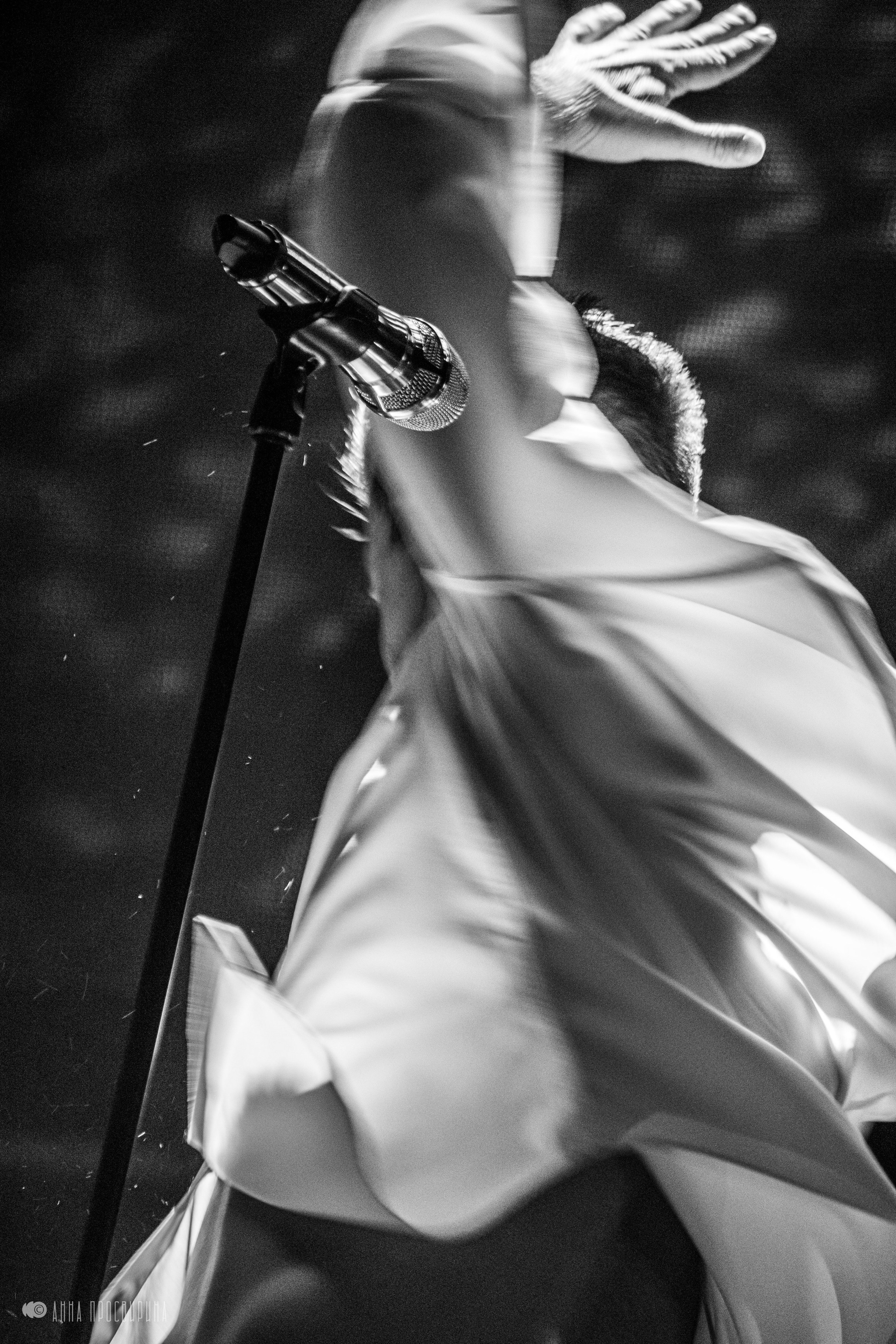 Юбилейный концерт группы «Иванушки International». Ваш фотограф в Санкт-Петербурге Анна Просвирина