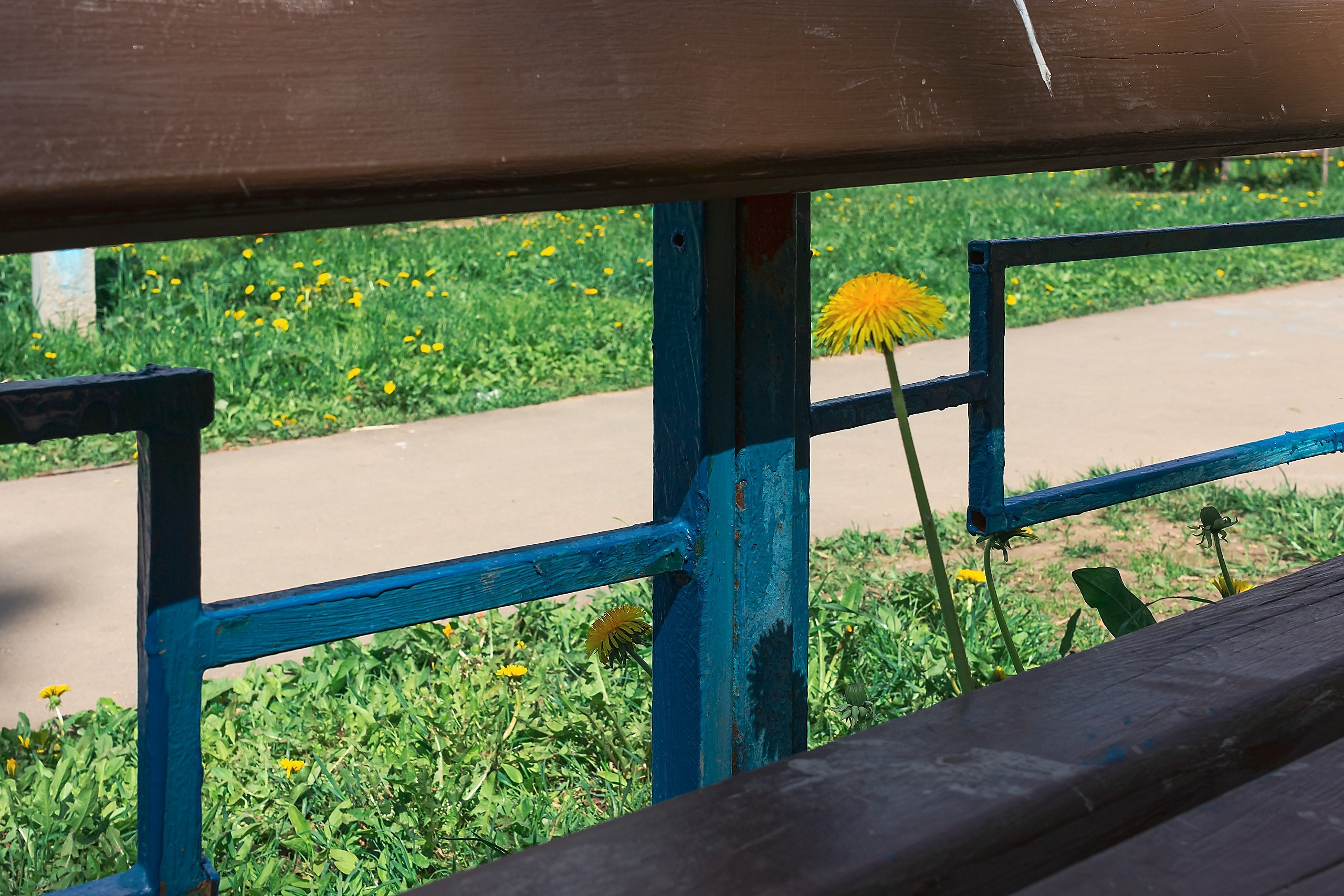 Границы и Рамки. Аmat Victoria Сuram