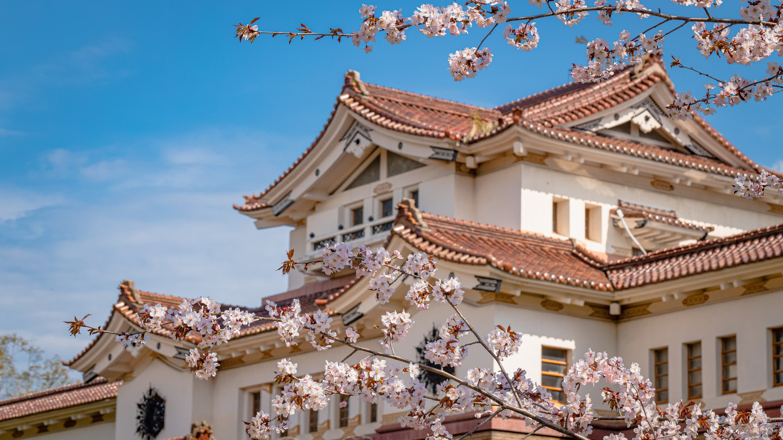 О.Сахалин. Фотограф. г. Южно-Сахалинск. Олег Толстов