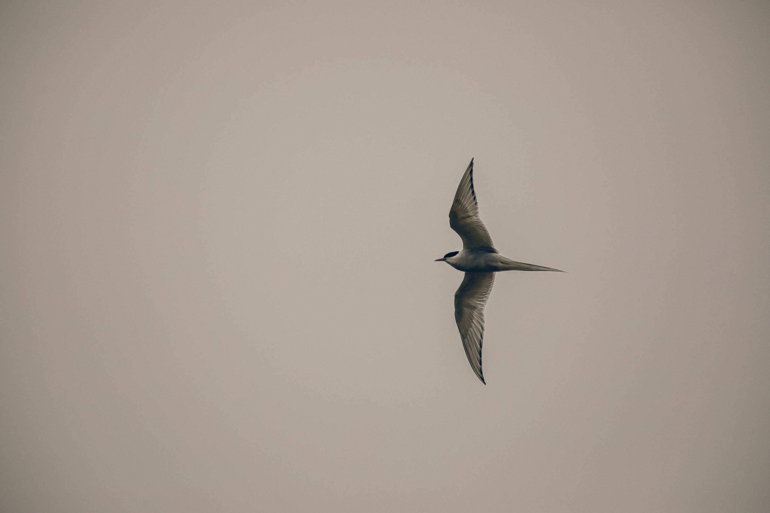 Кольский полуостров. Фотографирую для себя, своей семьи и друзей!