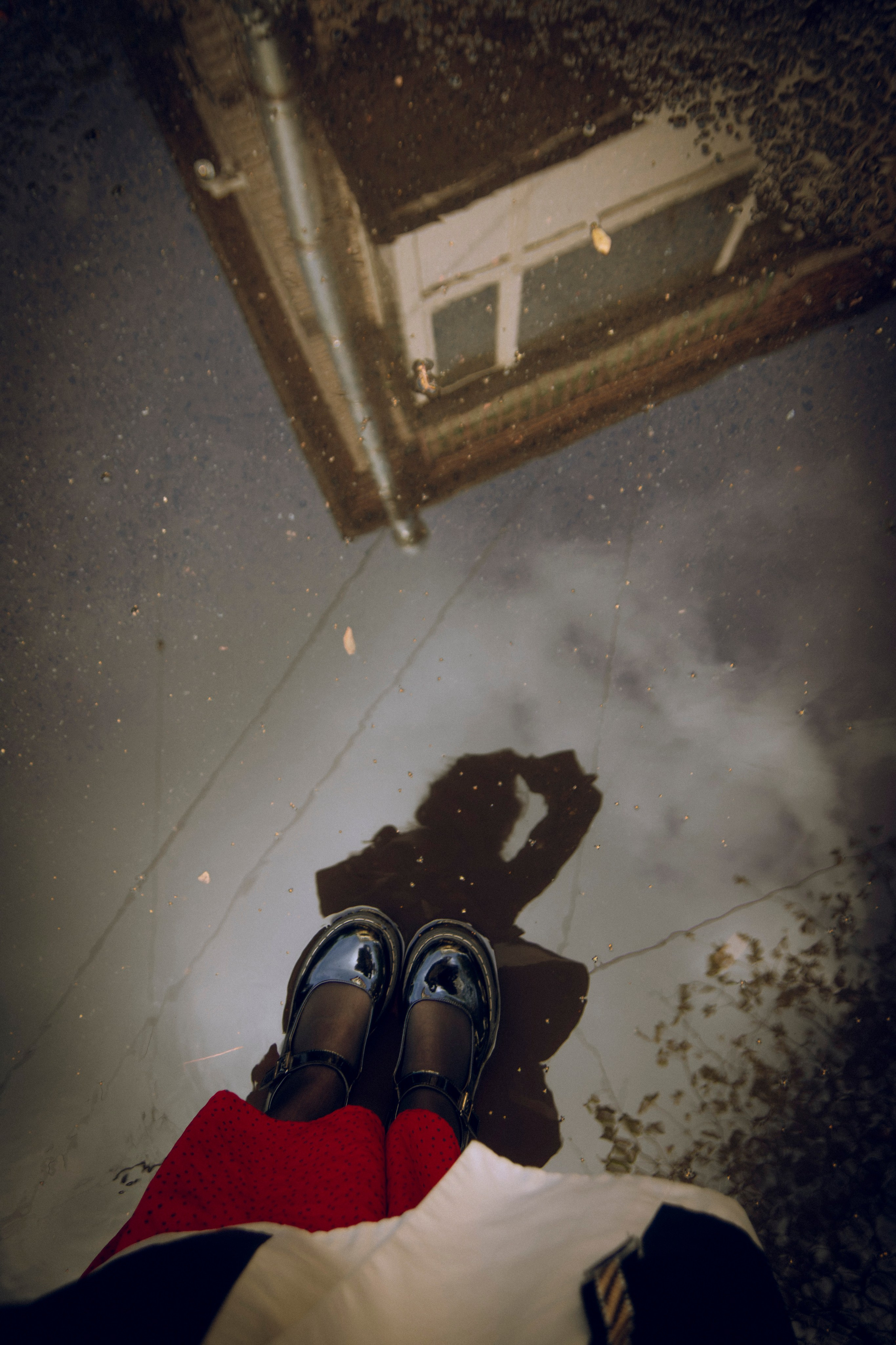 Из наблюдений. Плак или Квак