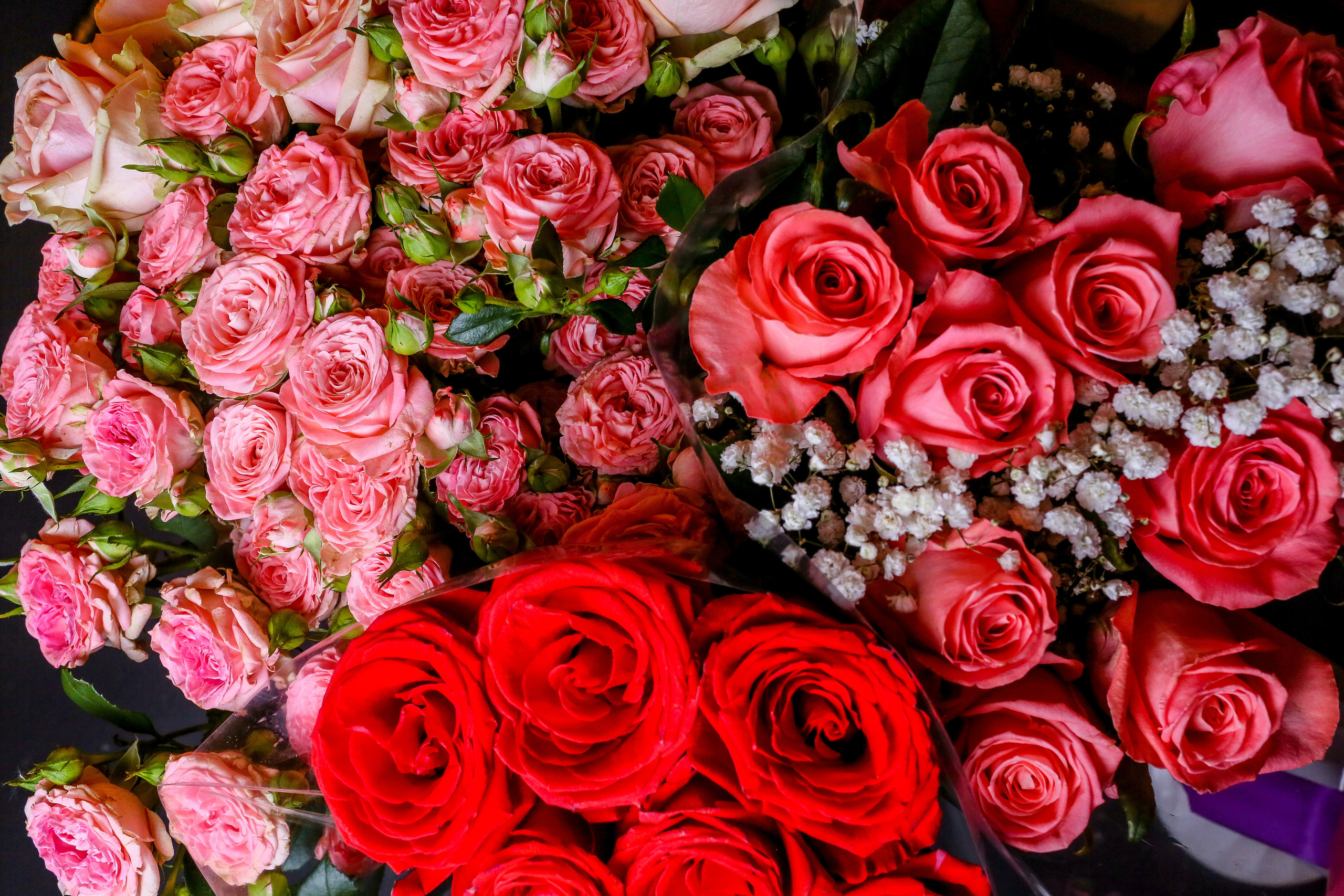 Ксения и Денис. Твой снимок СПб