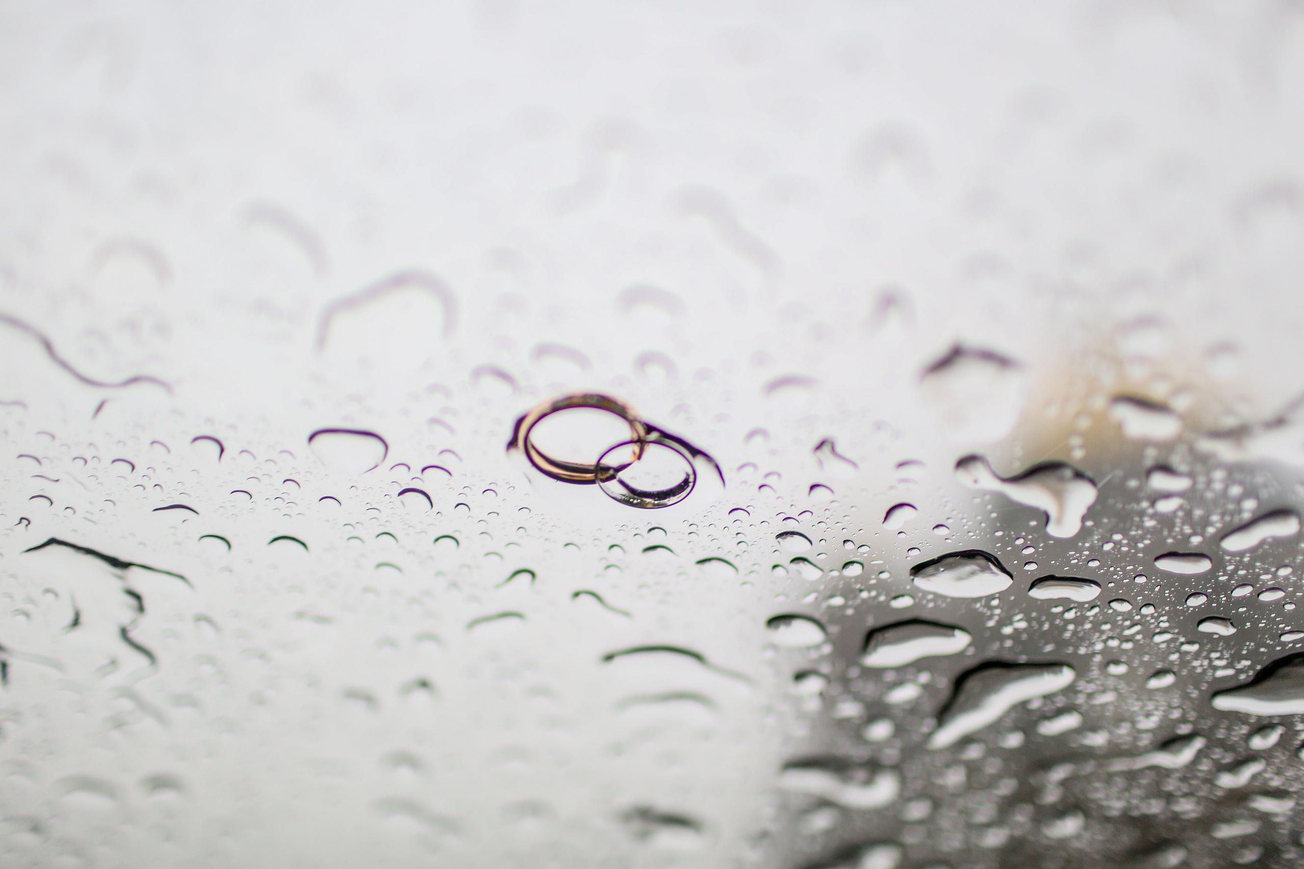 Ксения и Денис. Твой снимок СПб