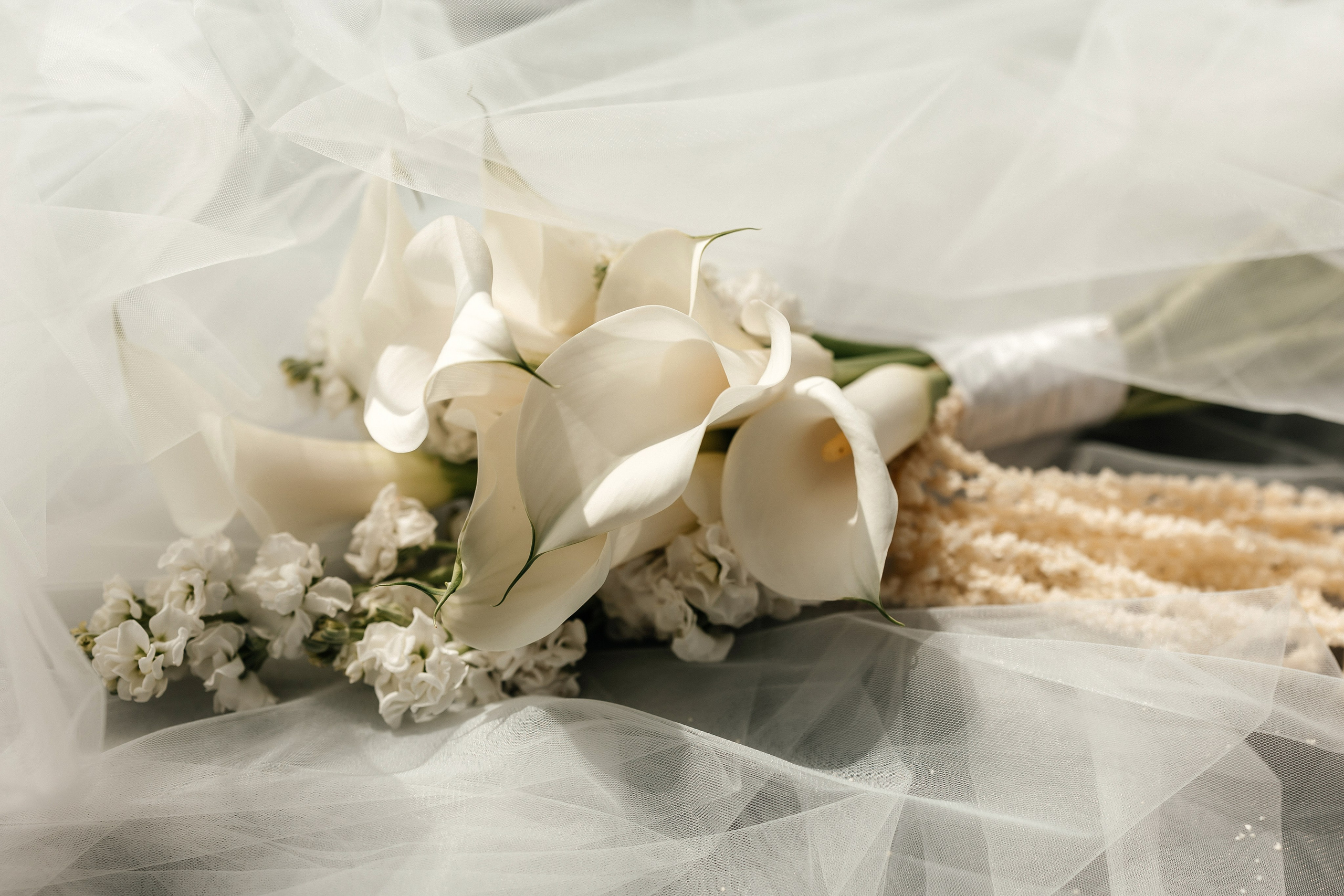 Артём & София | 14.06.25. Свадебный и семейный фотограф в Омске Евгения Хакимова