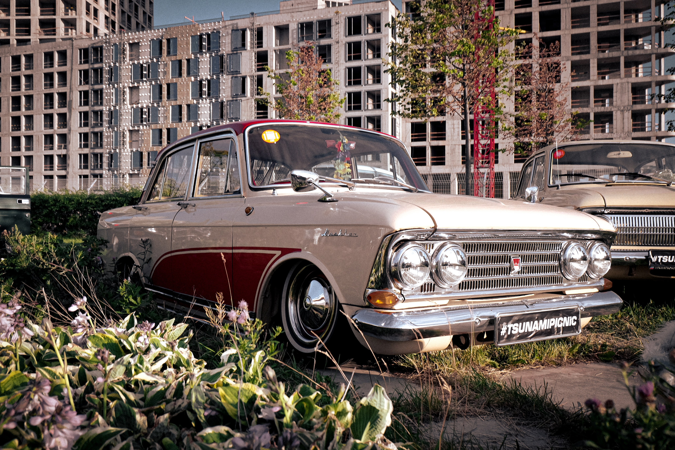 Tsunami Picnic 2024. Александр Попов