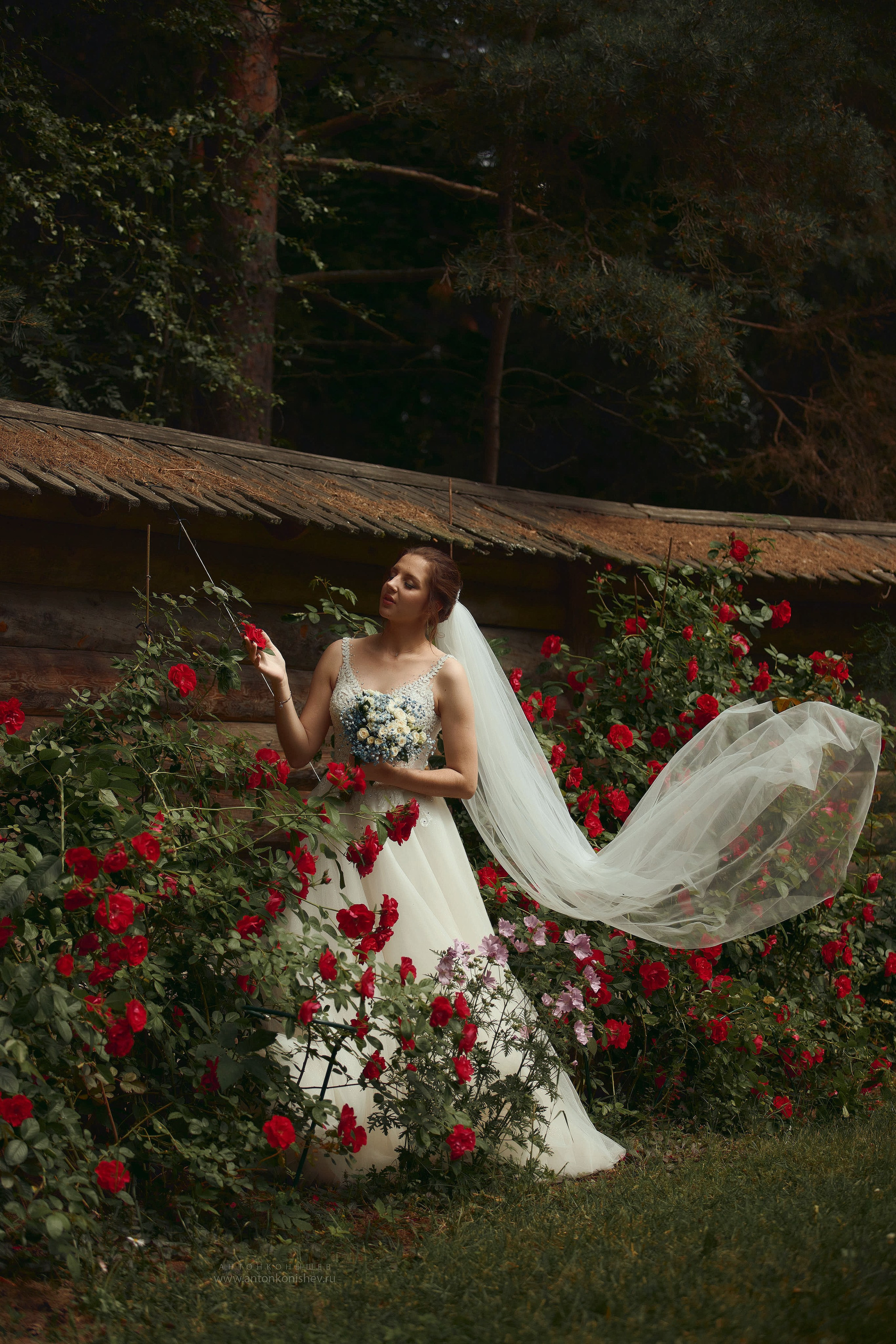 Дарья и Костя. Свадебный фотограф Антон Конышев