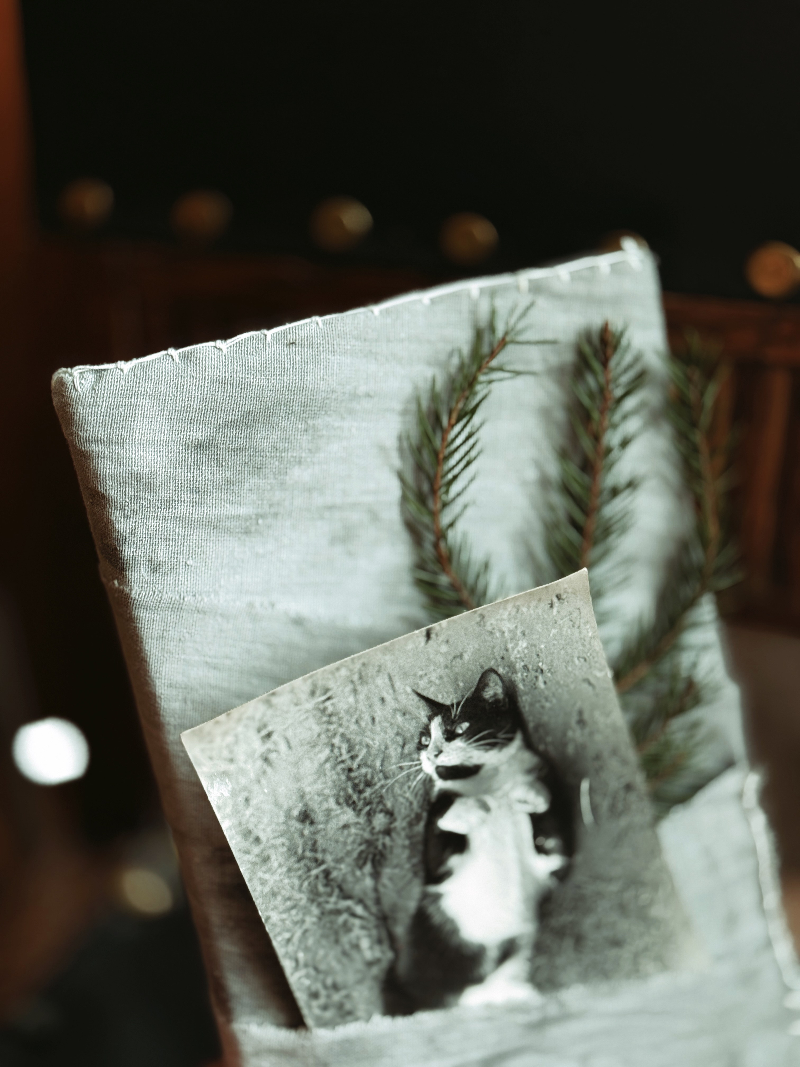 Упаковка Подарков. Фотограф Настя Лев