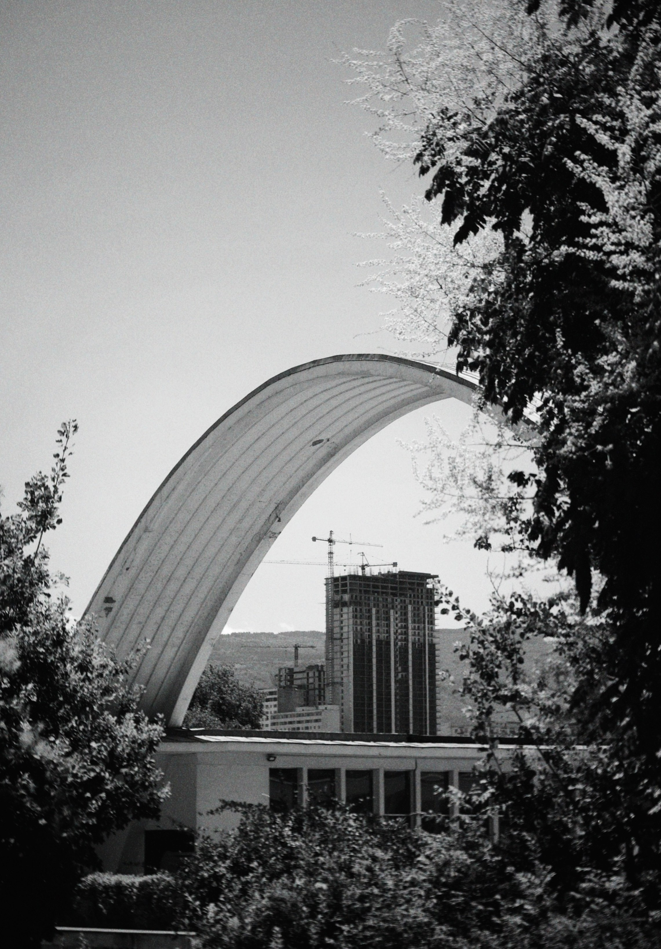 Тбилиси. Татьян гертье