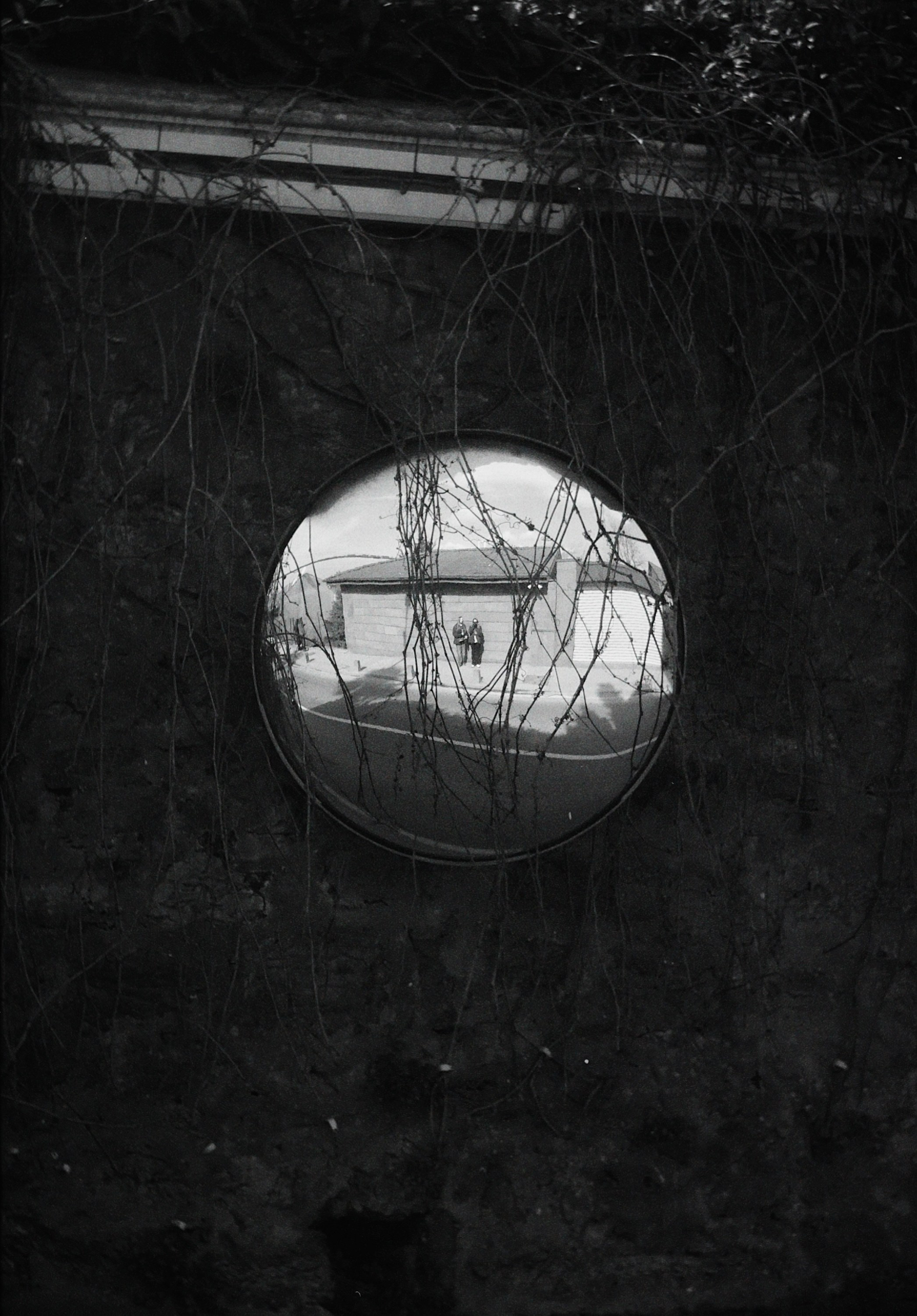 Стамбул. Татьян гертье