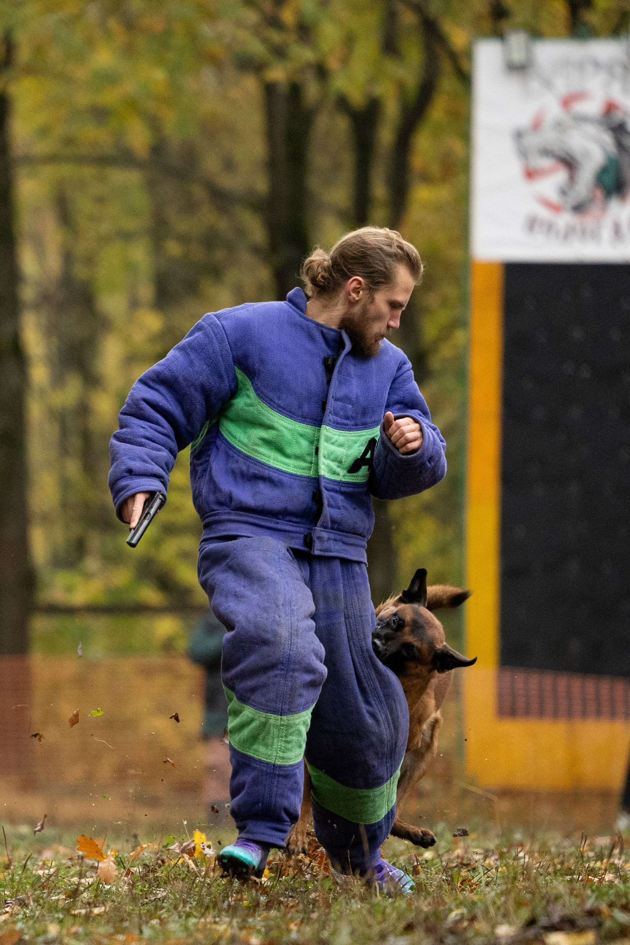 Соревнования по Мондьорингу г. Вологда. Фотограф-анималист Анна Маринич